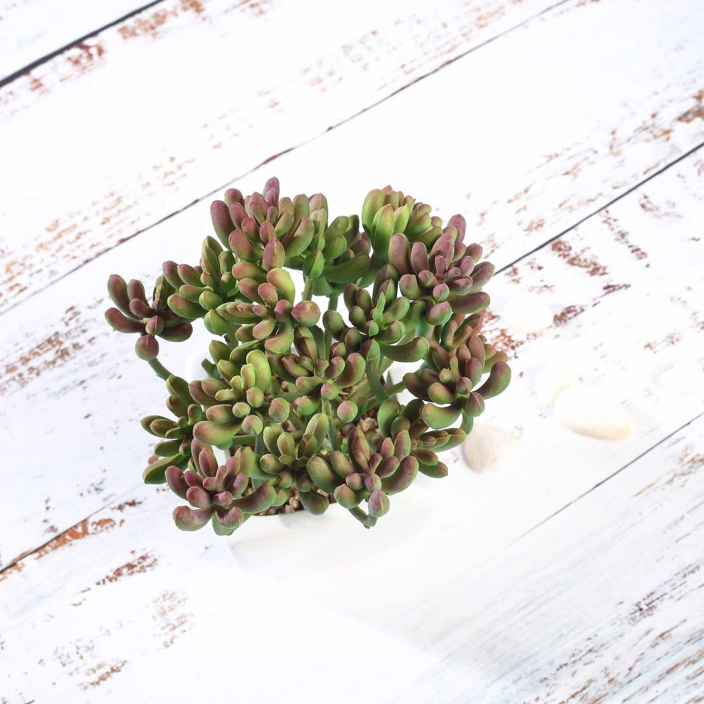 3 Pack Ceramic Planter Pot and Artificial Stonecrop Succulent Plant 7"