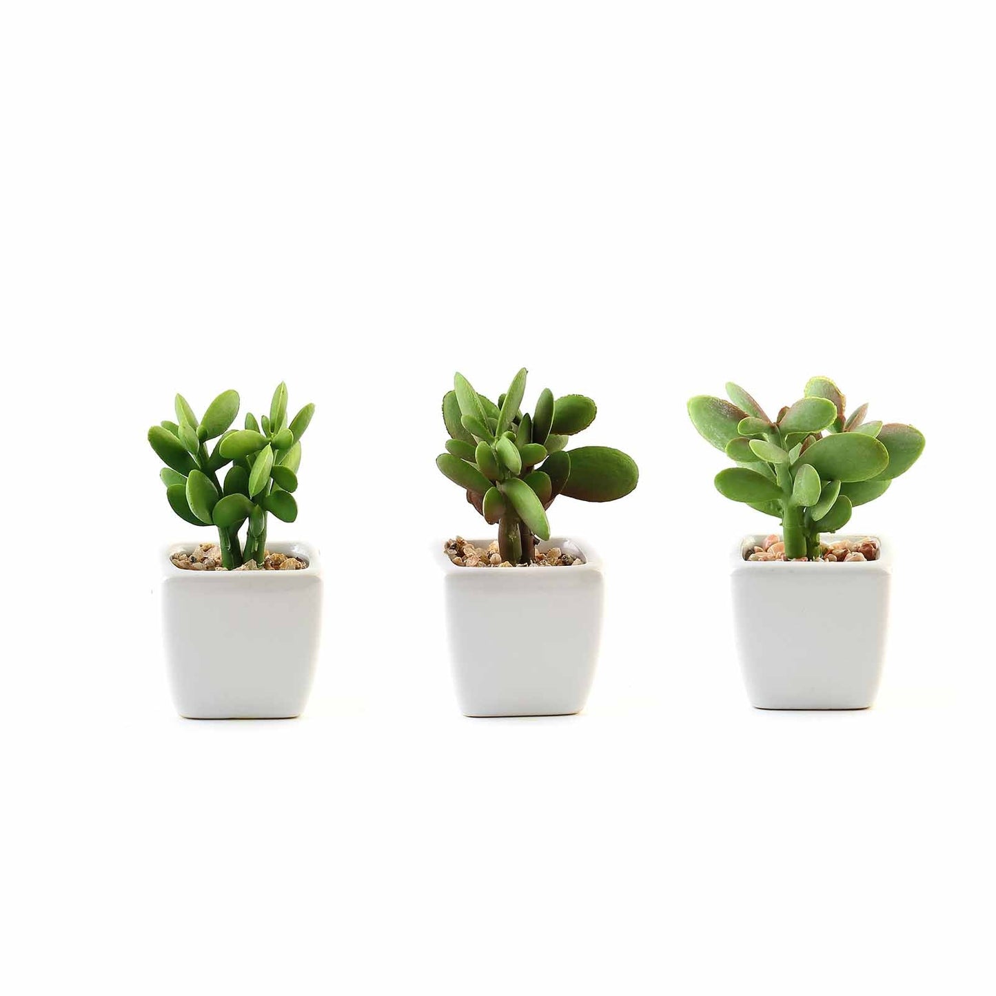 3 Pack Ceramic Planter Pot and Artificial Mini Jade Succulent Plant 3"
