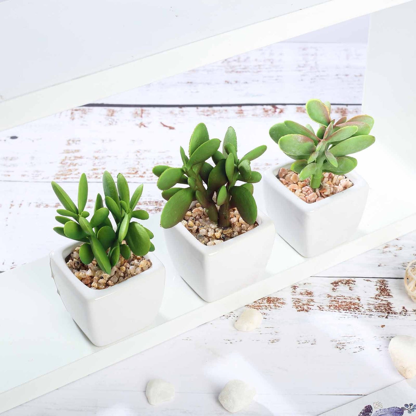 3 Pack Ceramic Planter Pot and Artificial Mini Jade Succulent Plant 3"