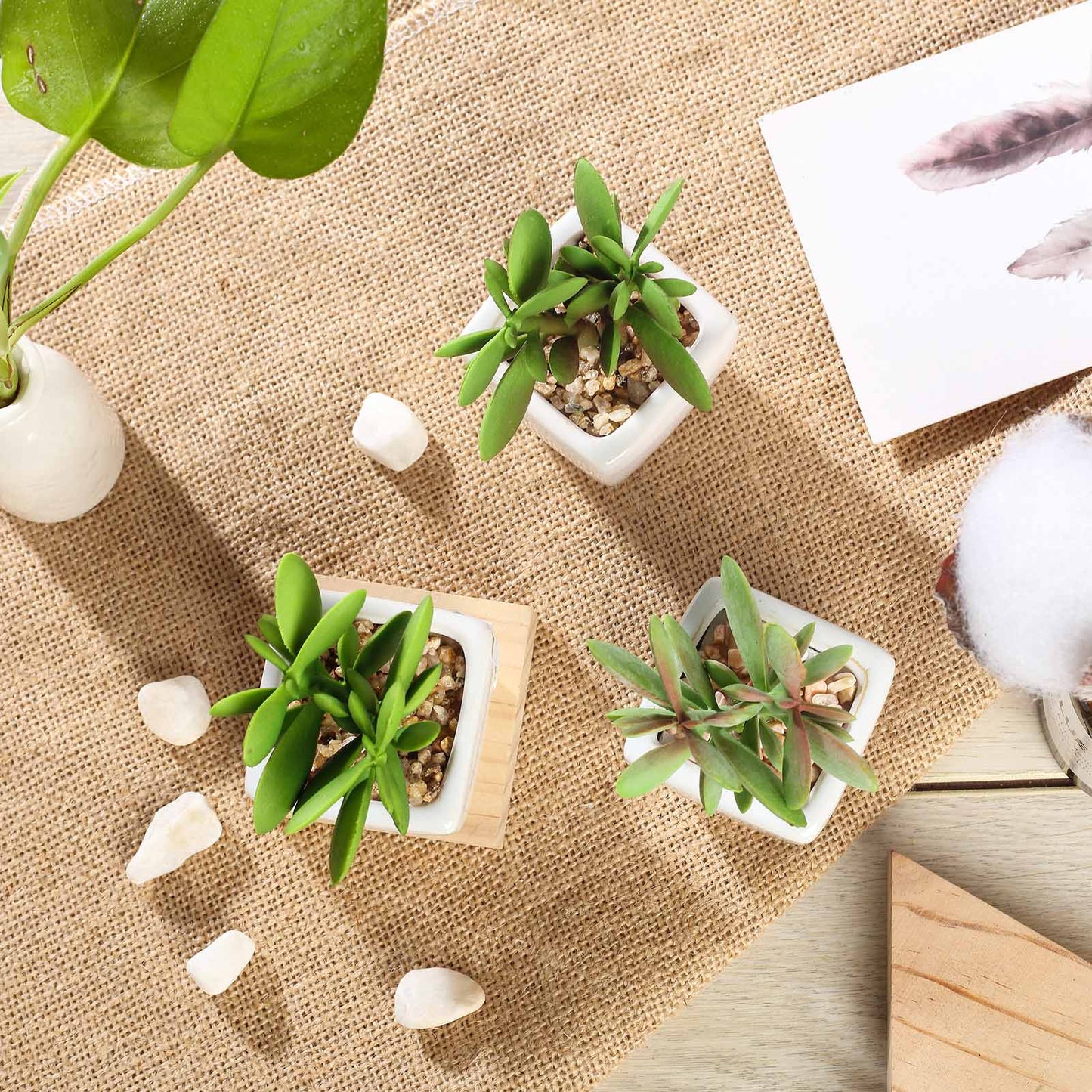 3 Pack Ceramic Planter Pot and Artificial Mini Jade Succulent Plant 3"