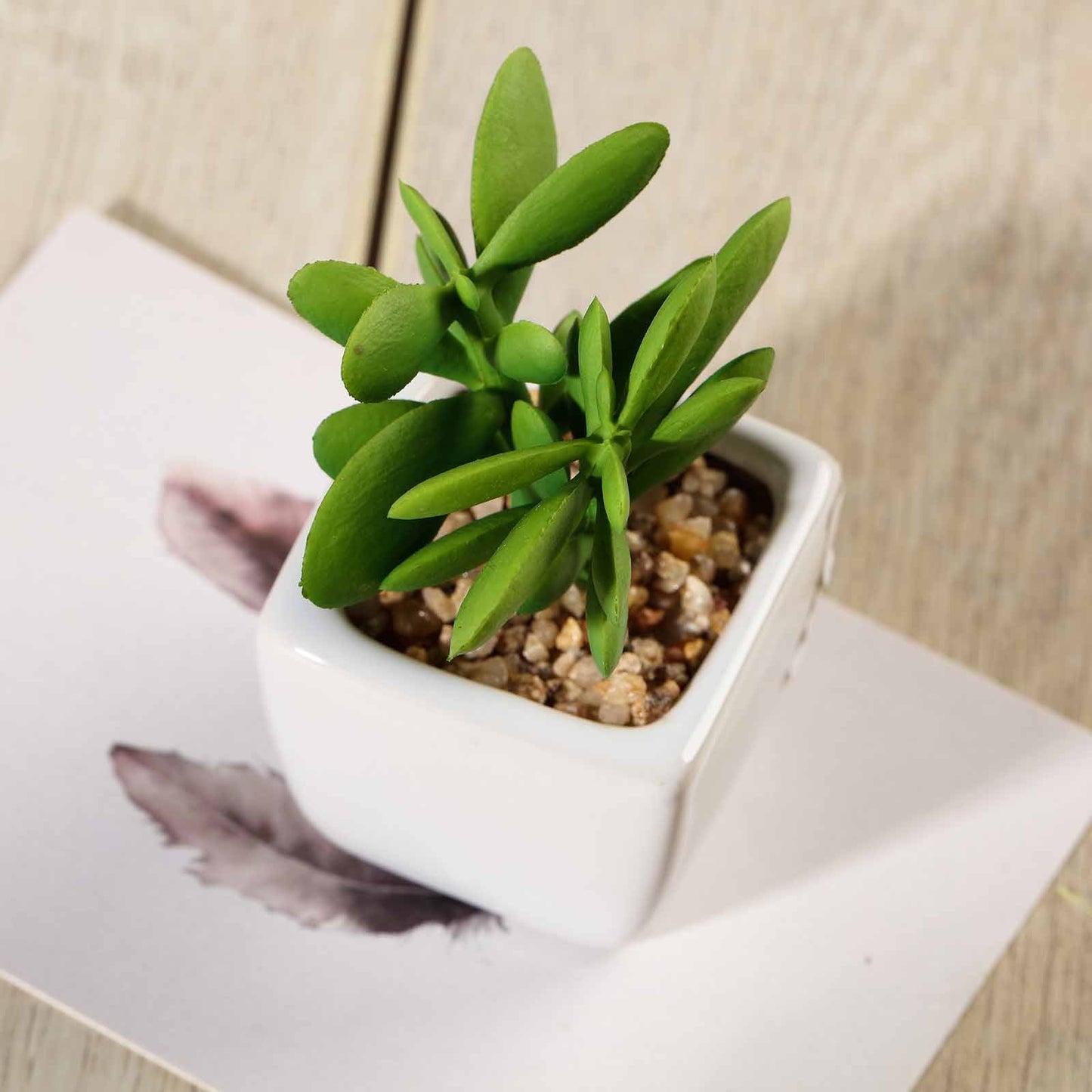3 Pack Ceramic Planter Pot and Artificial Mini Jade Succulent Plant 3"