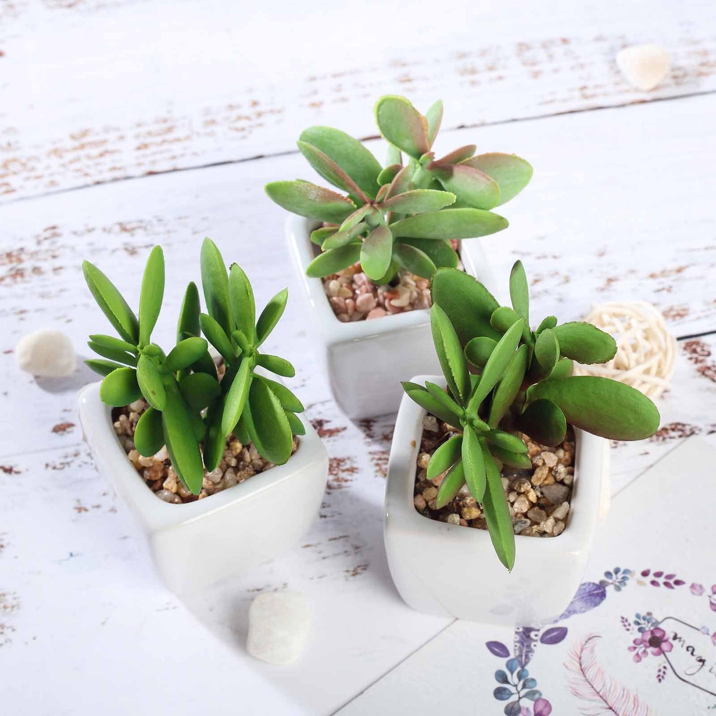 3 Pack Ceramic Planter Pot and Artificial Mini Jade Succulent Plant 3"