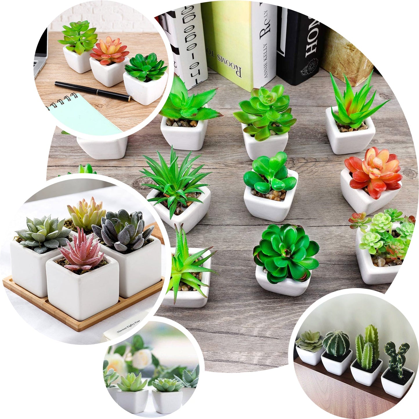 3 Pack Ceramic Planter Pot and Artificial Echeveria Elegans Plants 5"