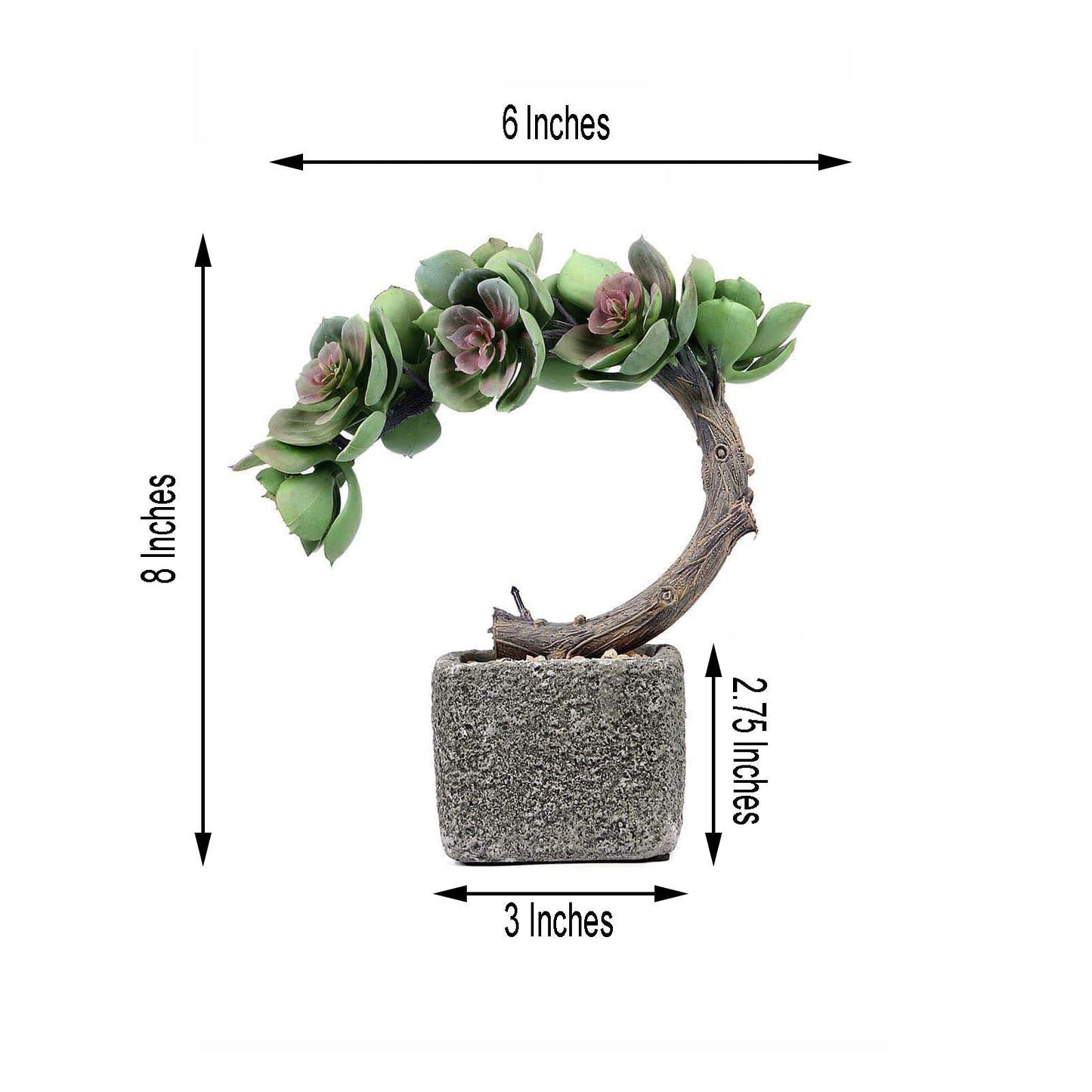 Concrete Planter Pot, Artificial Perle Von Nurnberg Succulent Plant 8"