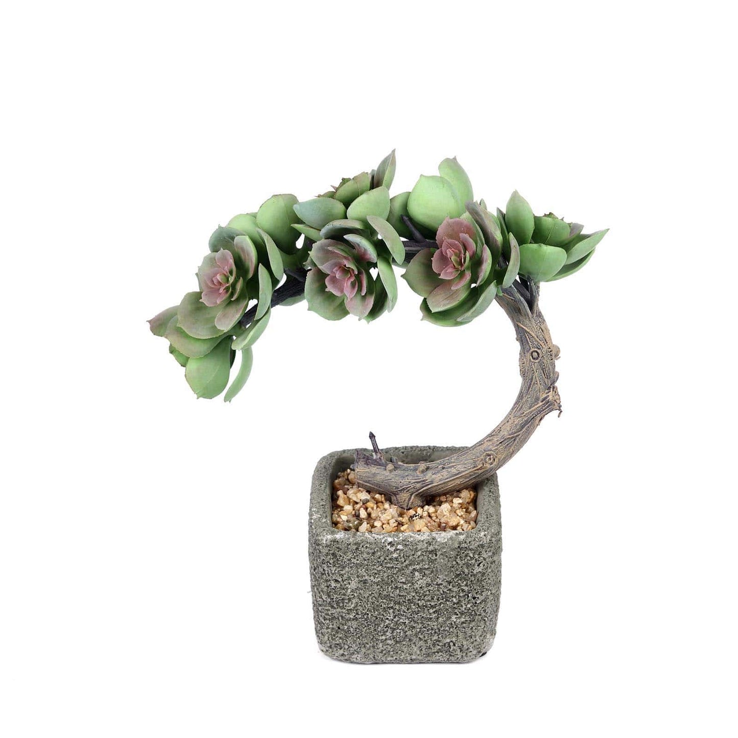 Concrete Planter Pot, Artificial Perle Von Nurnberg Succulent Plant 8"