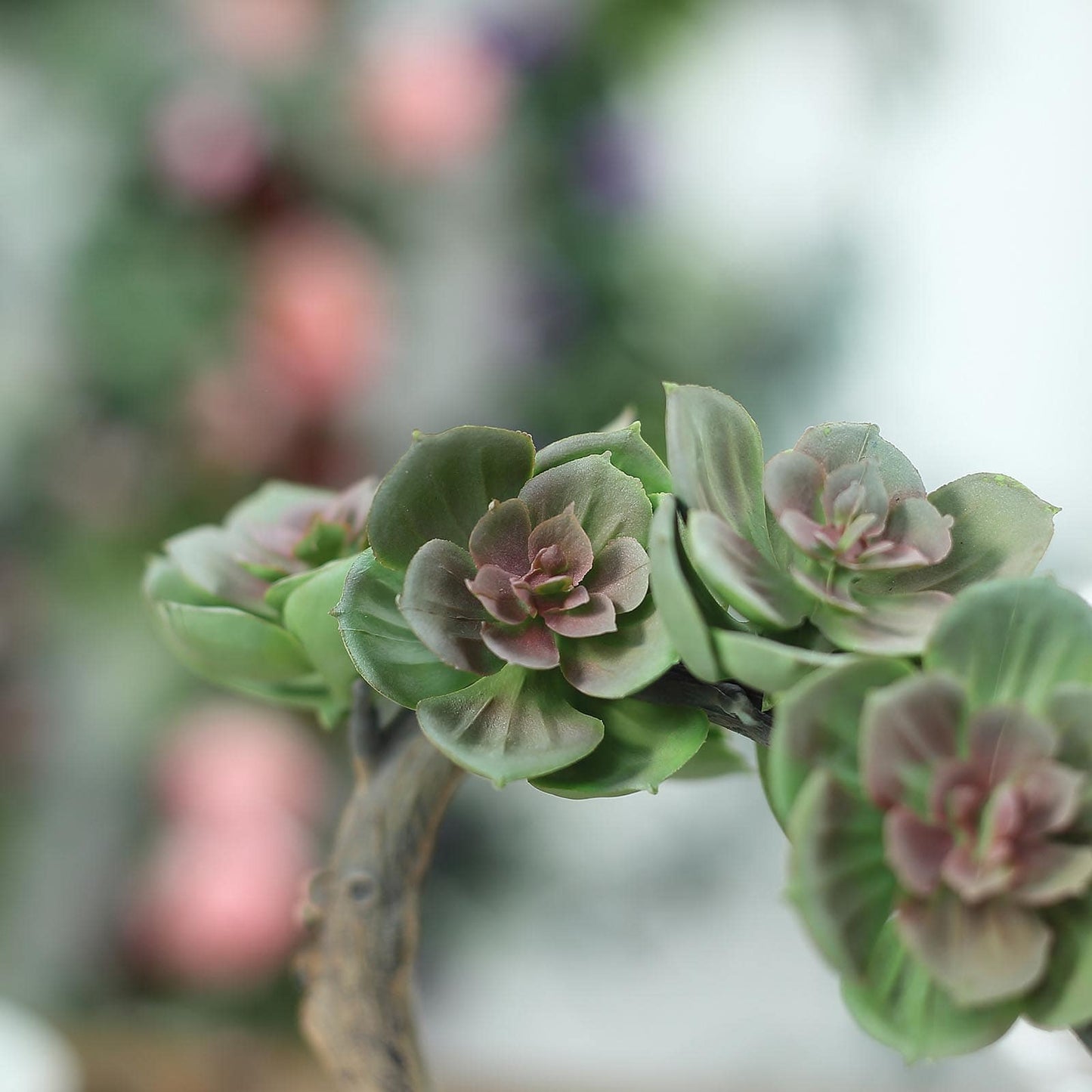 Concrete Planter Pot, Artificial Perle Von Nurnberg Succulent Plant 8"