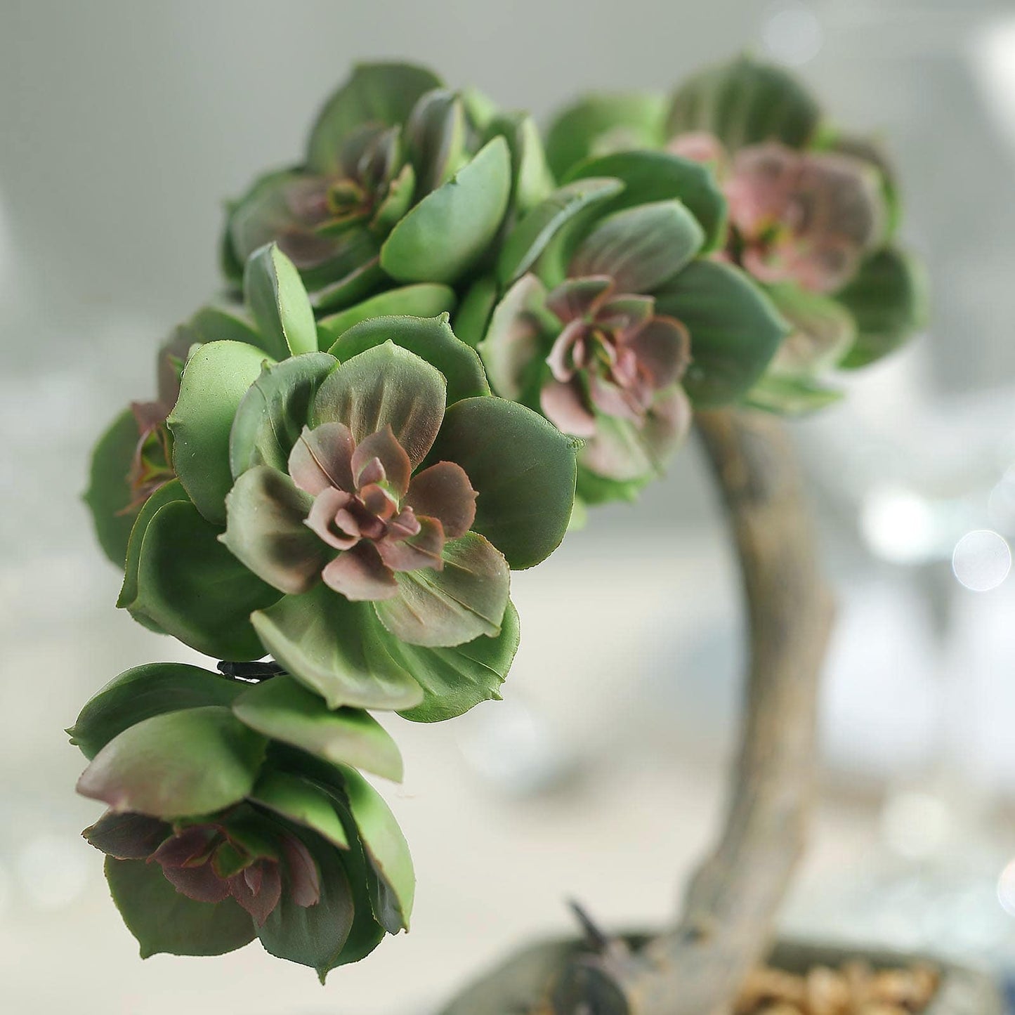 Concrete Planter Pot, Artificial Perle Von Nurnberg Succulent Plant 8"