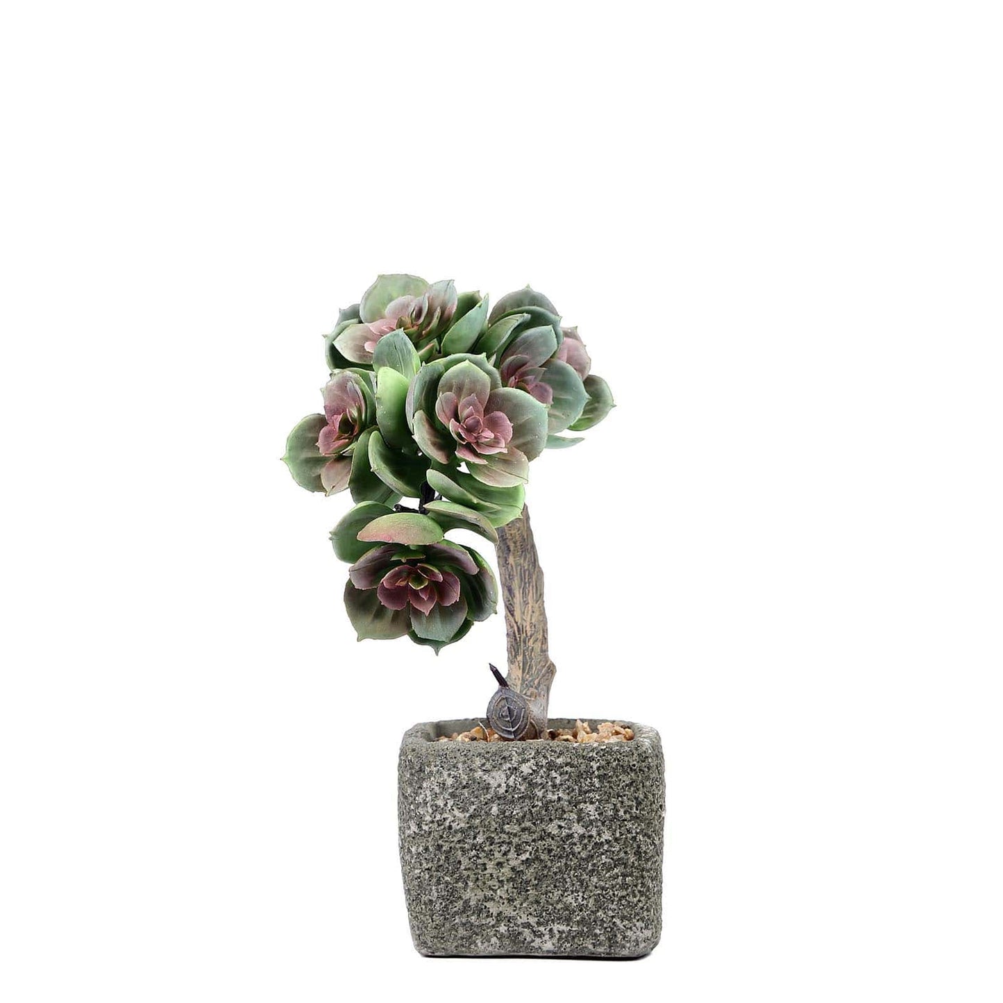Concrete Planter Pot, Artificial Perle Von Nurnberg Succulent Plant 8"