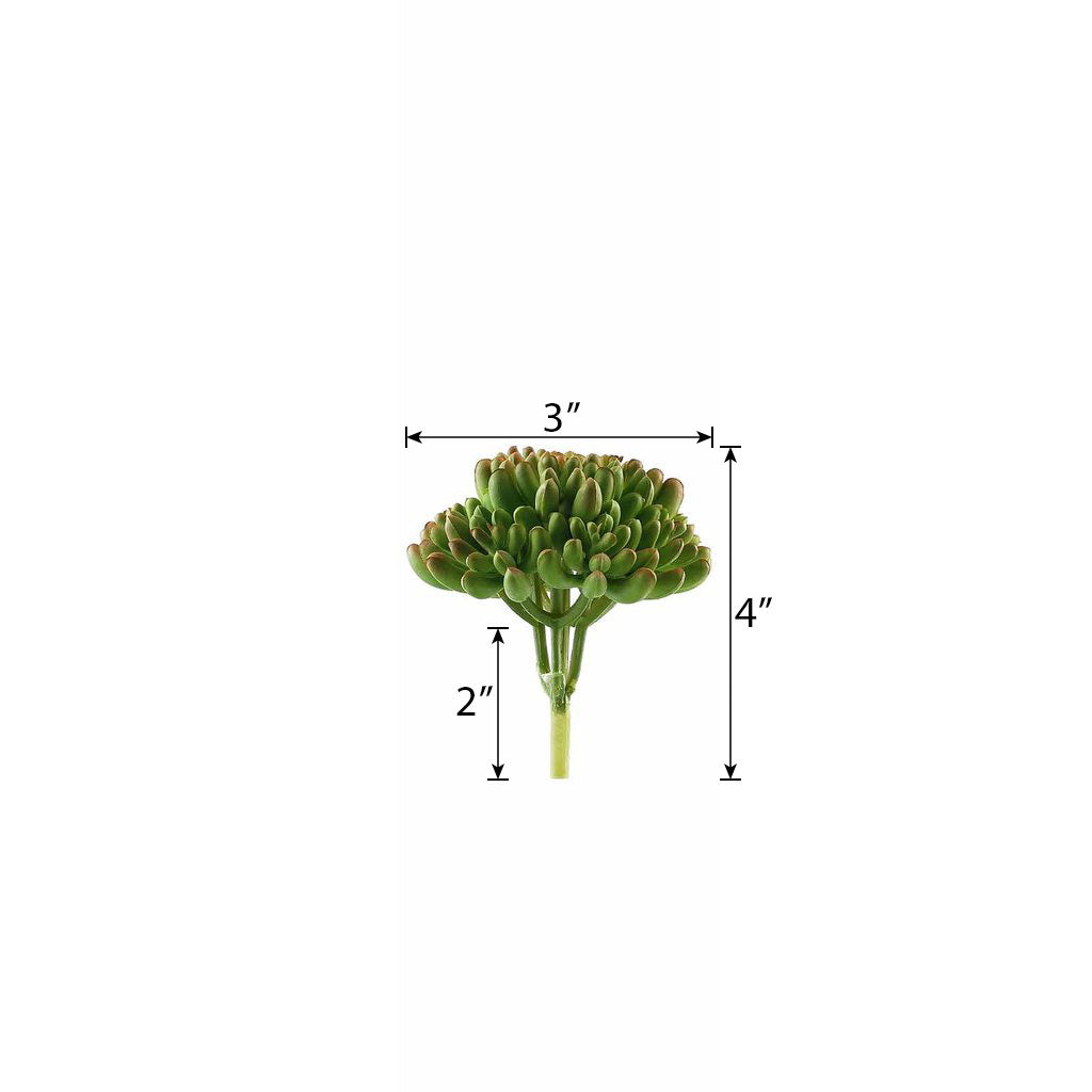 3 Pack Artificial PVC Mini Jelly Bean Decorative Succulent Plants 4"