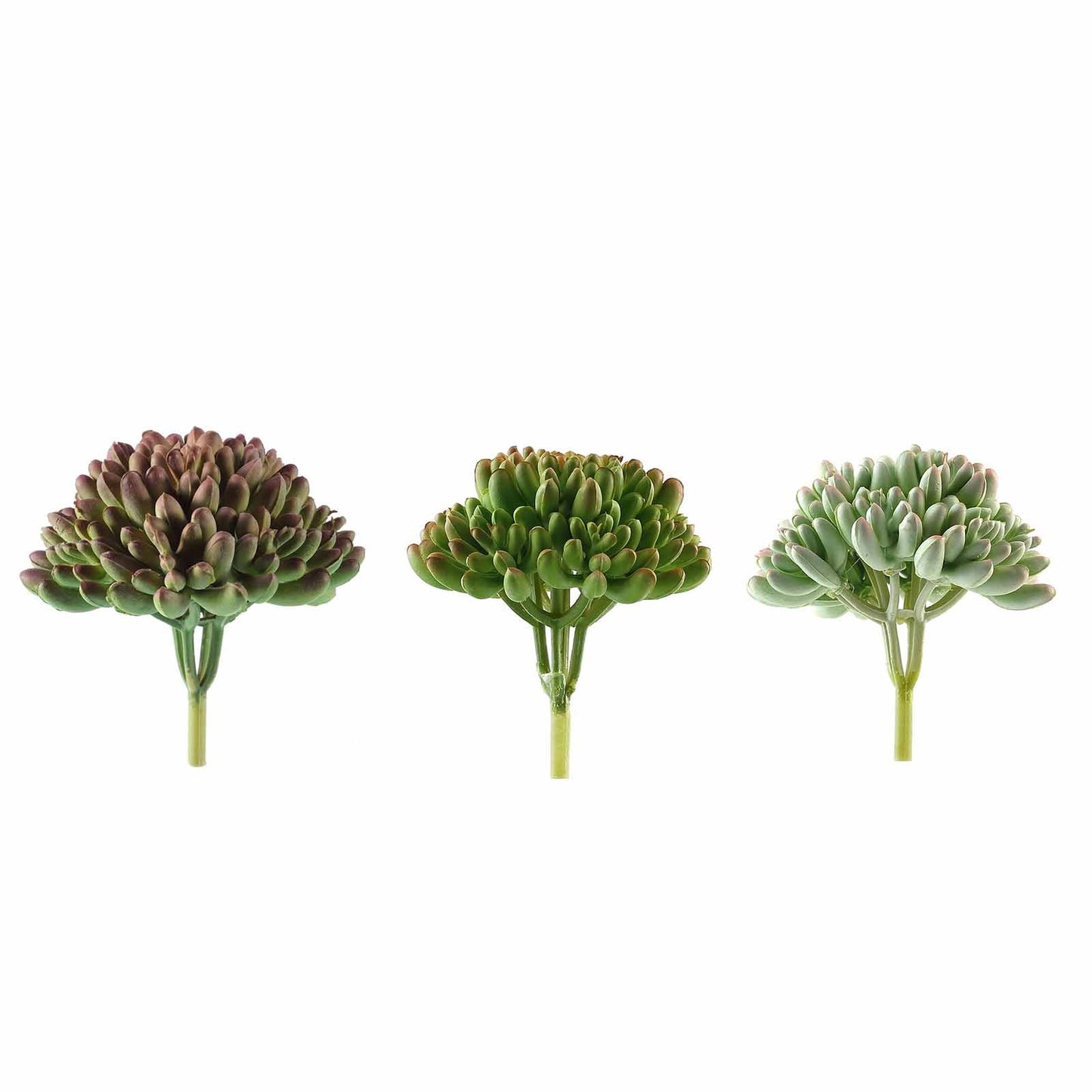 3 Pack Artificial PVC Mini Jelly Bean Decorative Succulent Plants 4"