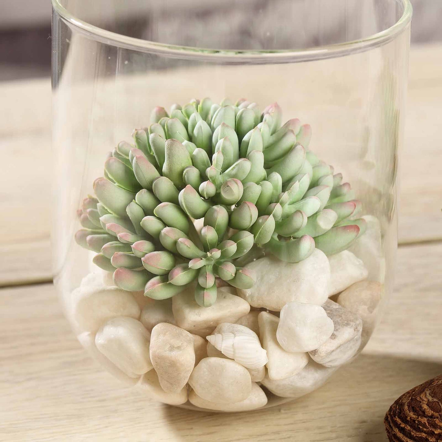 3 Pack Artificial PVC Mini Jelly Bean Decorative Succulent Plants 4"