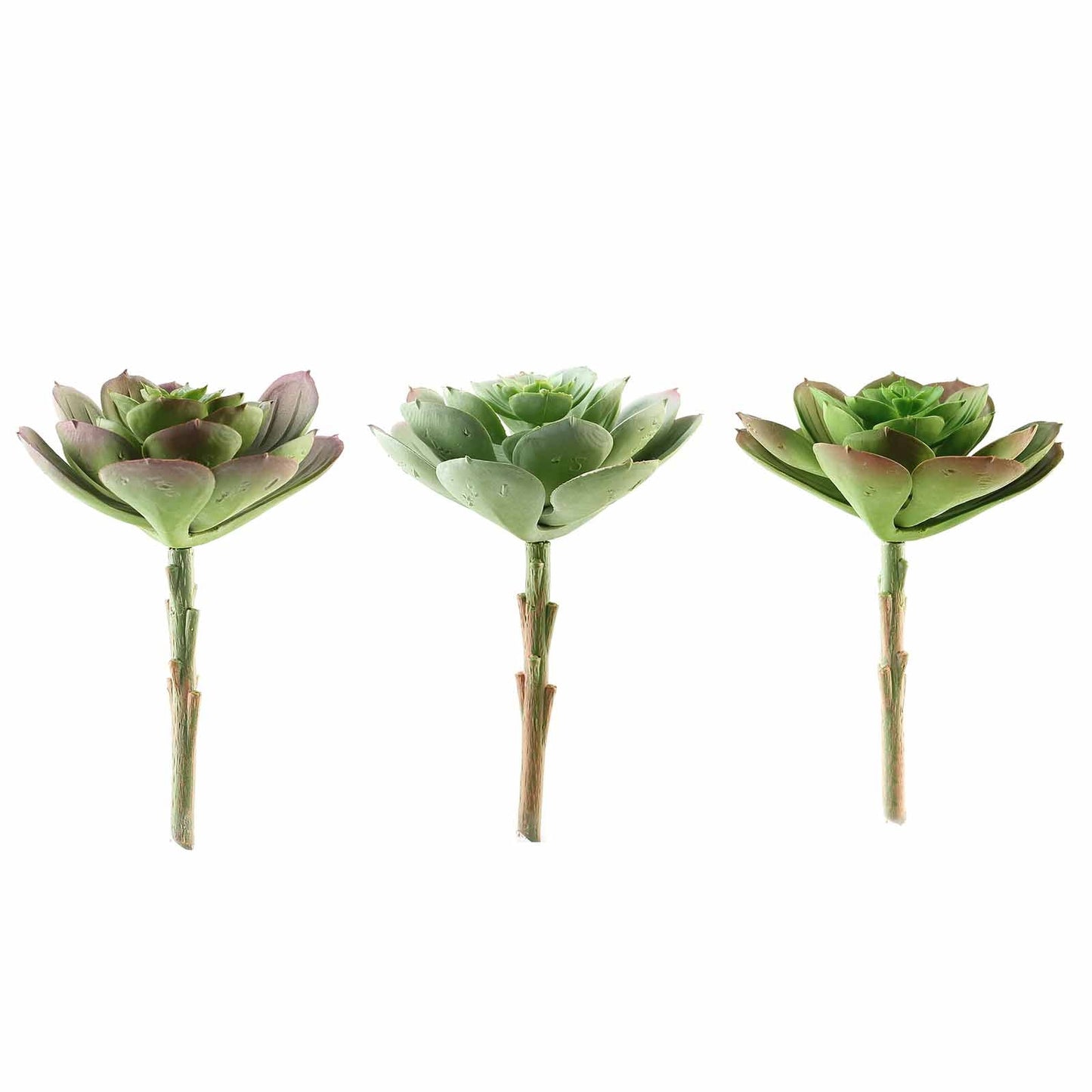 3 Pack Artificial PVC Echeveria Stem Decorative Succulent Plants 6"