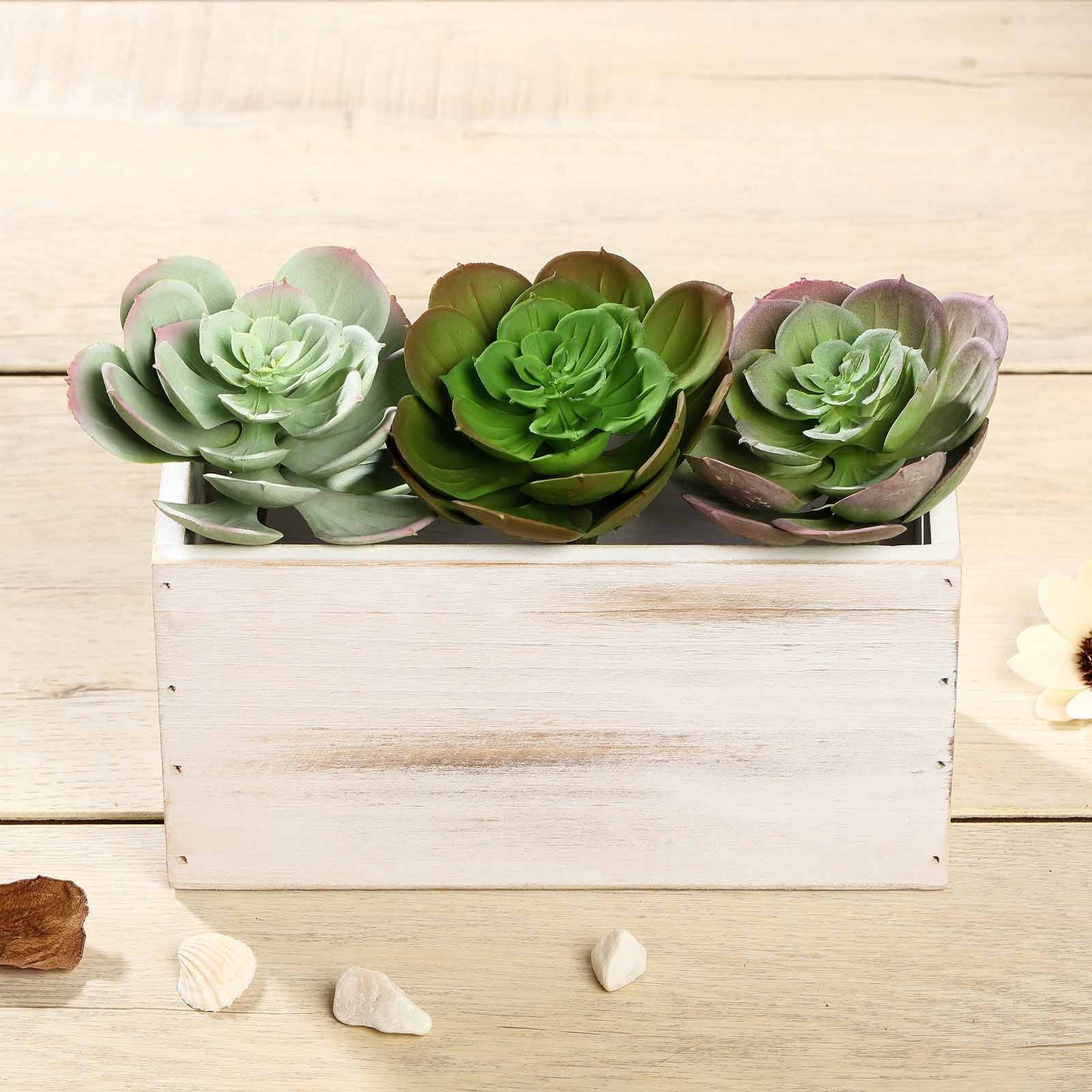 3 Pack Artificial PVC Echeveria Stem Decorative Succulent Plants 6"