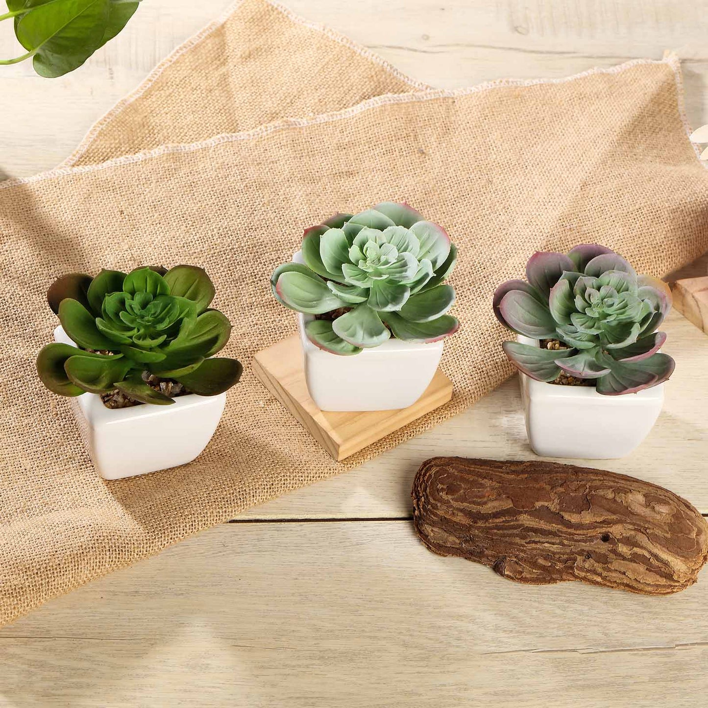 3 Pack Ceramic Planter Pot and Artificial Echeveria Succulent Plant 4"