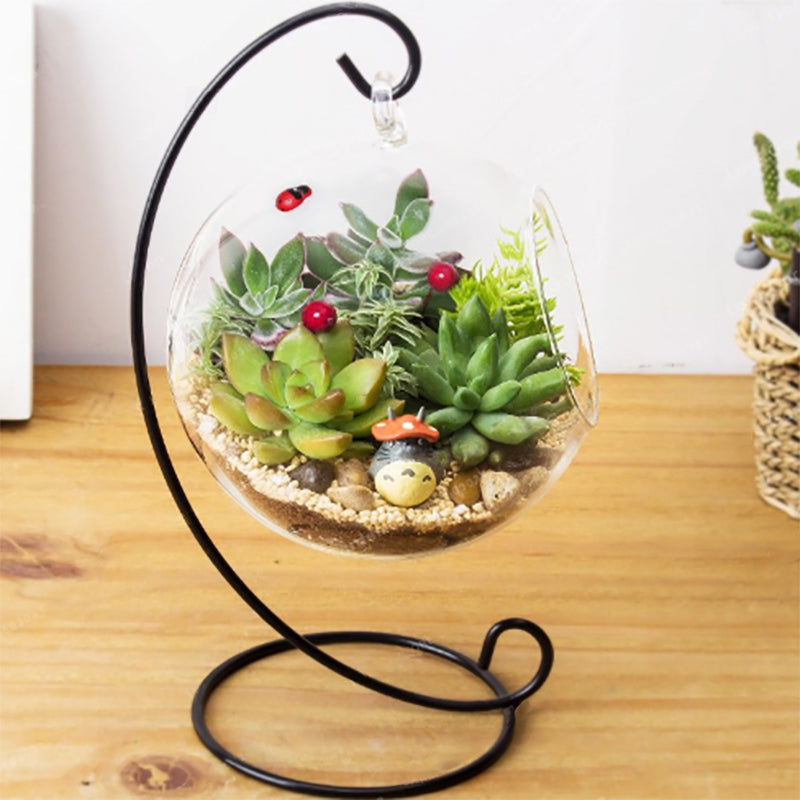 3 Pack Artificial PVC Mini Jelly Bean Decorative Succulent Plants 4"