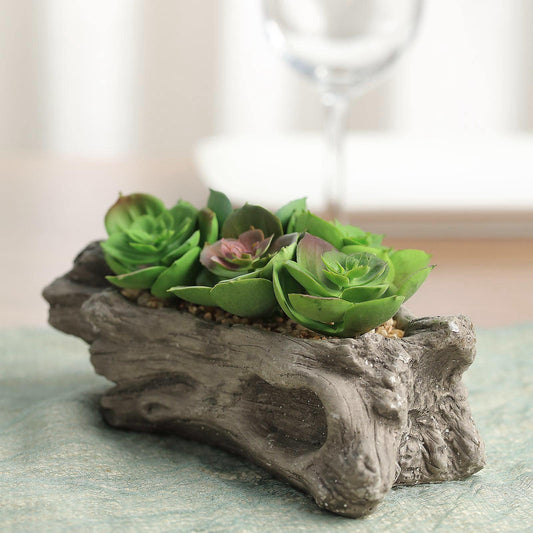 Artificial Log Planter and 5 Perle Von Nurnberg Succulent Plants 7" Long