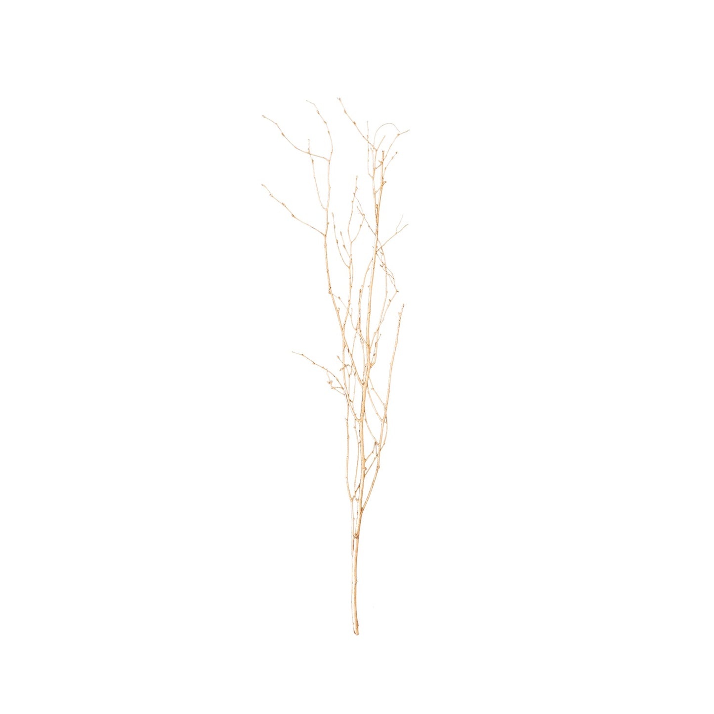6 Pack Metallic Gold Decorative Birch Tree Branches, Extra Long Natural Dried Willow Twigs Sticks Vase Fillers - 46"