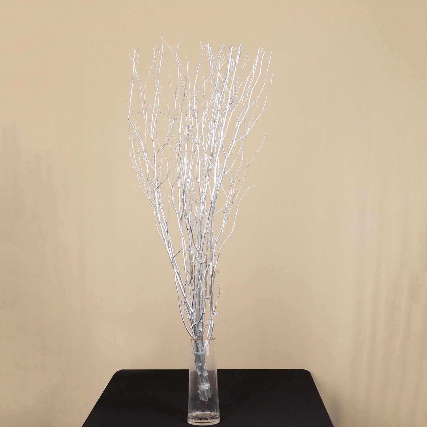 6 Pack Metallic Silver Decorative Birch Tree Branches, Extra Long Natural Dried Willow Twigs Sticks Vase Fillers - 46"