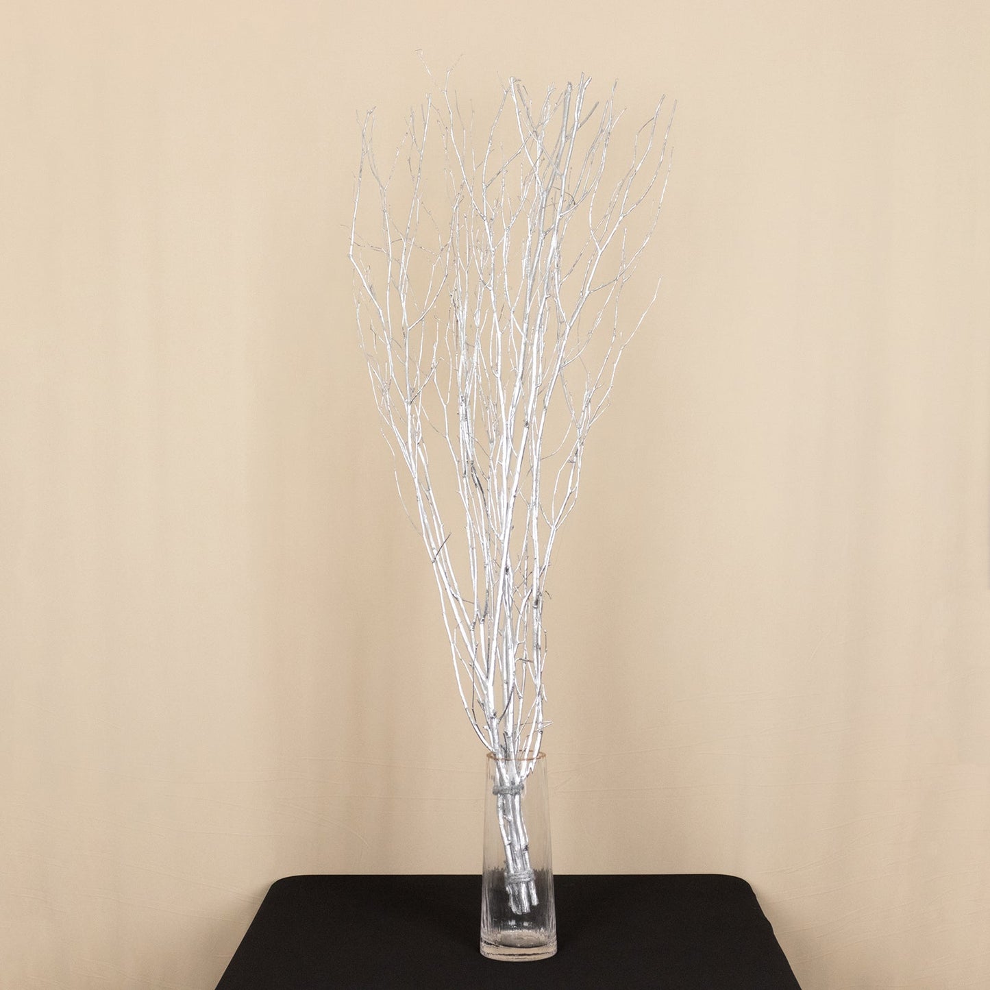 6 Pack Metallic Silver Decorative Birch Tree Branches, Extra Long Natural Dried Willow Twigs Sticks Vase Fillers - 46"
