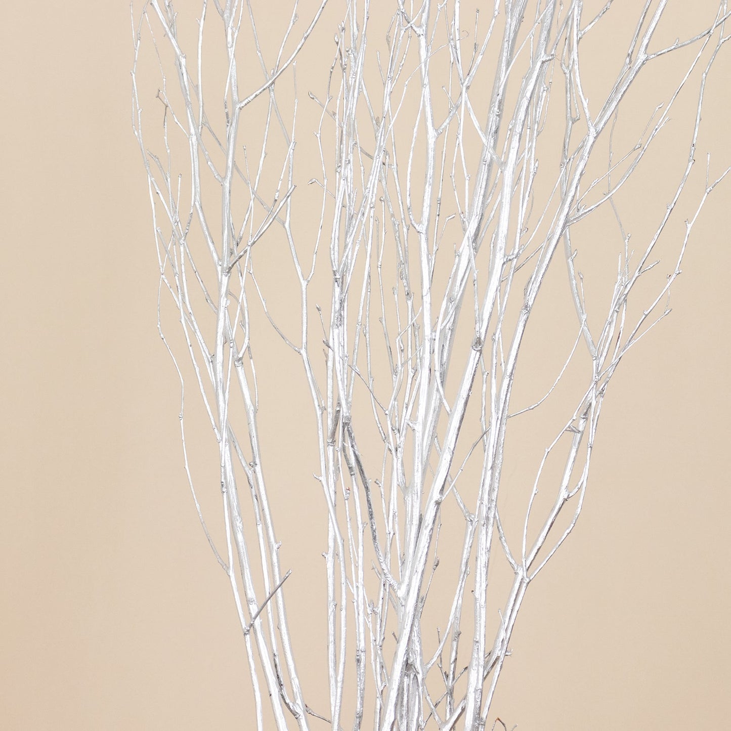 6 Pack Metallic Silver Decorative Birch Tree Branches, Extra Long Natural Dried Willow Twigs Sticks Vase Fillers - 46"