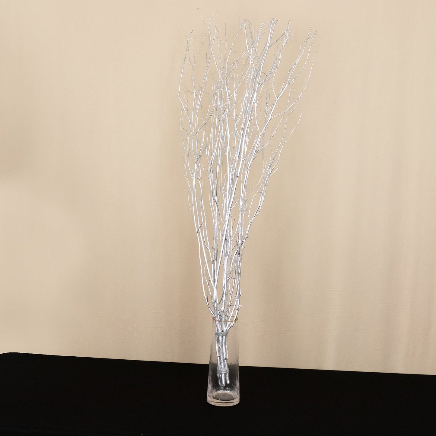 6 Pack Metallic Silver Decorative Birch Tree Branches, Extra Long Natural Dried Willow Twigs Sticks Vase Fillers - 46"