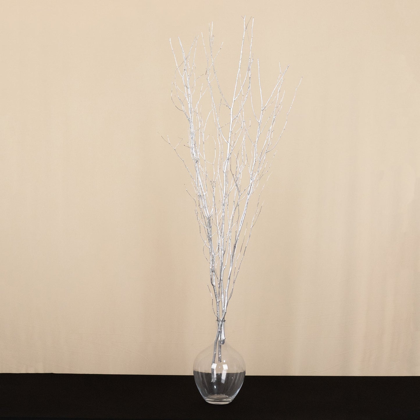 6 Pack Metallic Silver Decorative Birch Tree Branches, Extra Long Natural Dried Willow Twigs Sticks Vase Fillers - 46"