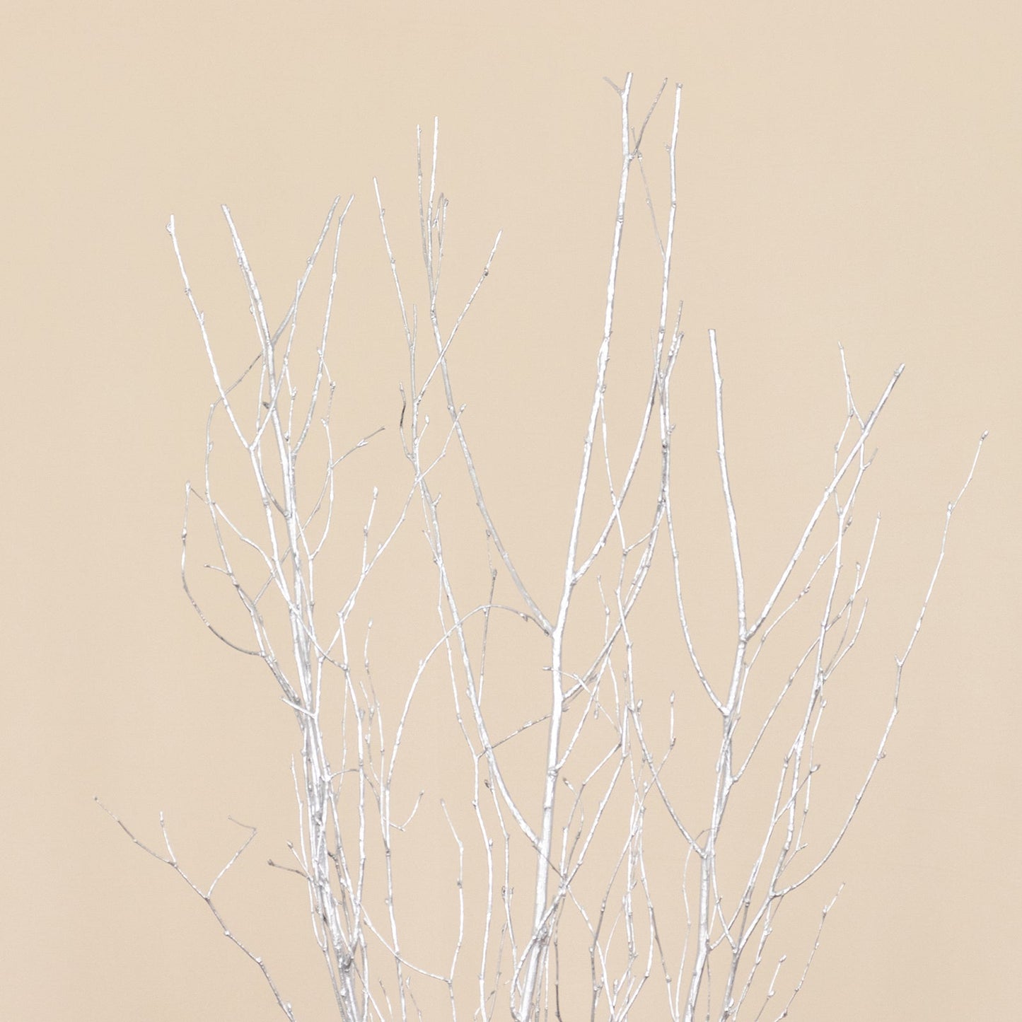 6 Pack Metallic Silver Decorative Birch Tree Branches, Extra Long Natural Dried Willow Twigs Sticks Vase Fillers - 46"