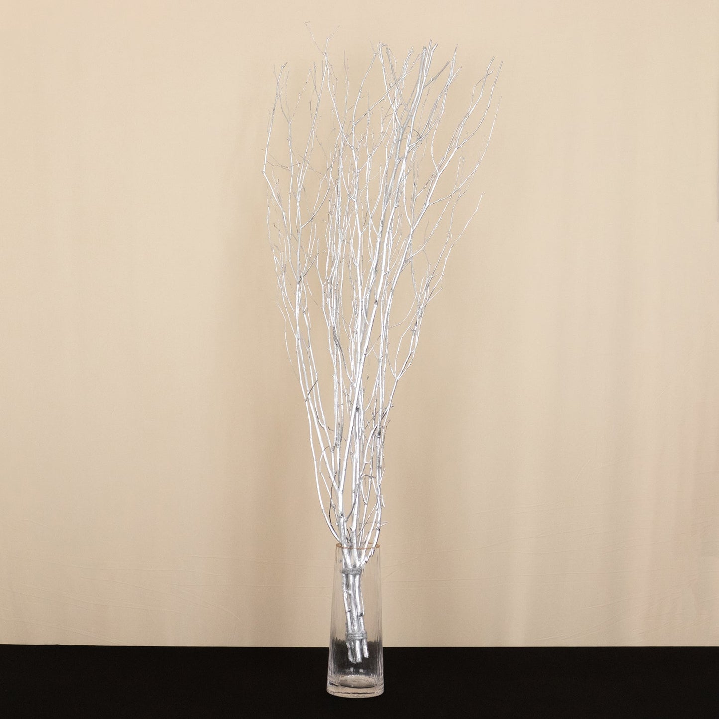 6 Pack Metallic Silver Decorative Birch Tree Branches, Extra Long Natural Dried Willow Twigs Sticks Vase Fillers - 46"