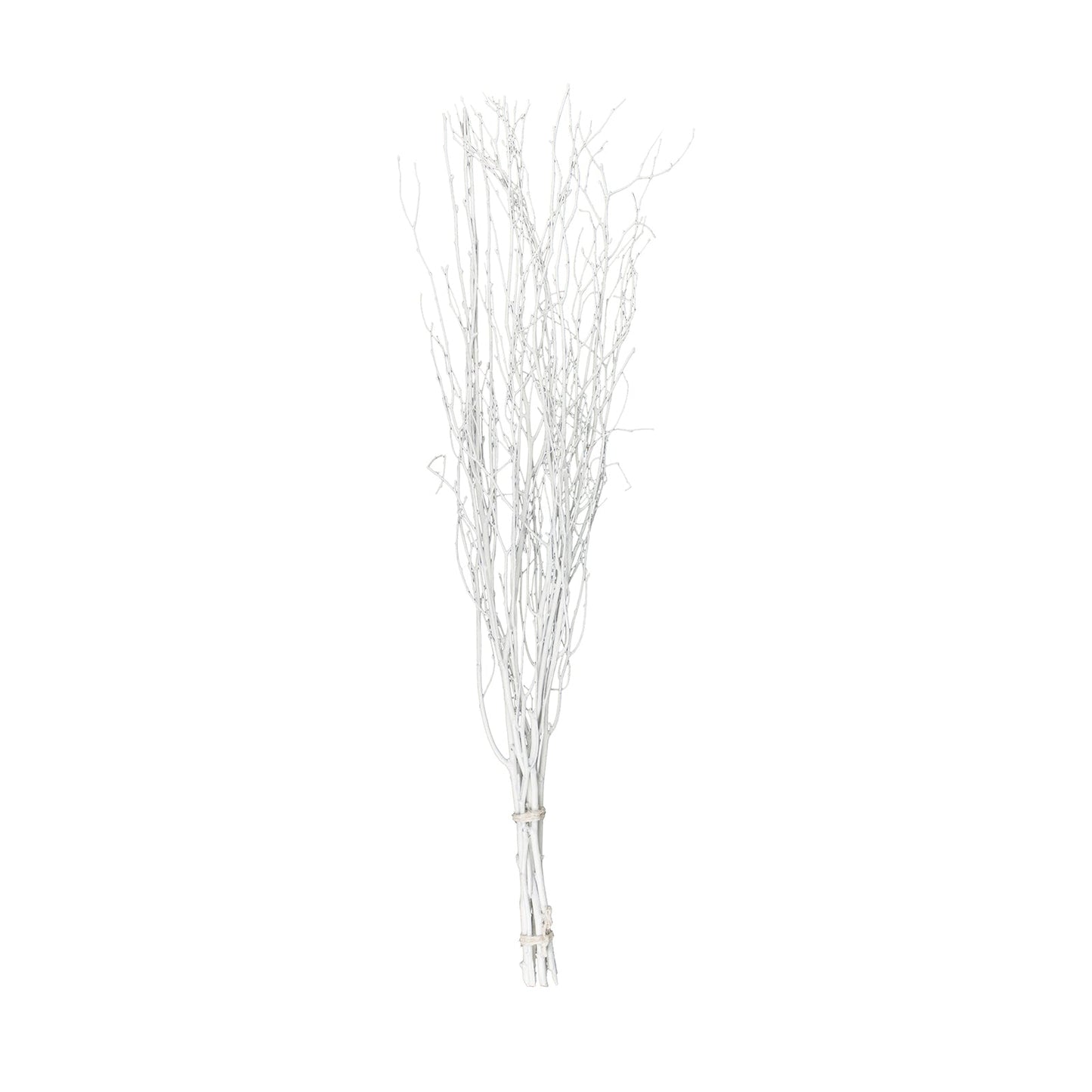 6 Pack White Decorative Birch Tree Branches, Extra Long Natural Dried Willow Twigs Sticks Vase Fillers - 46"