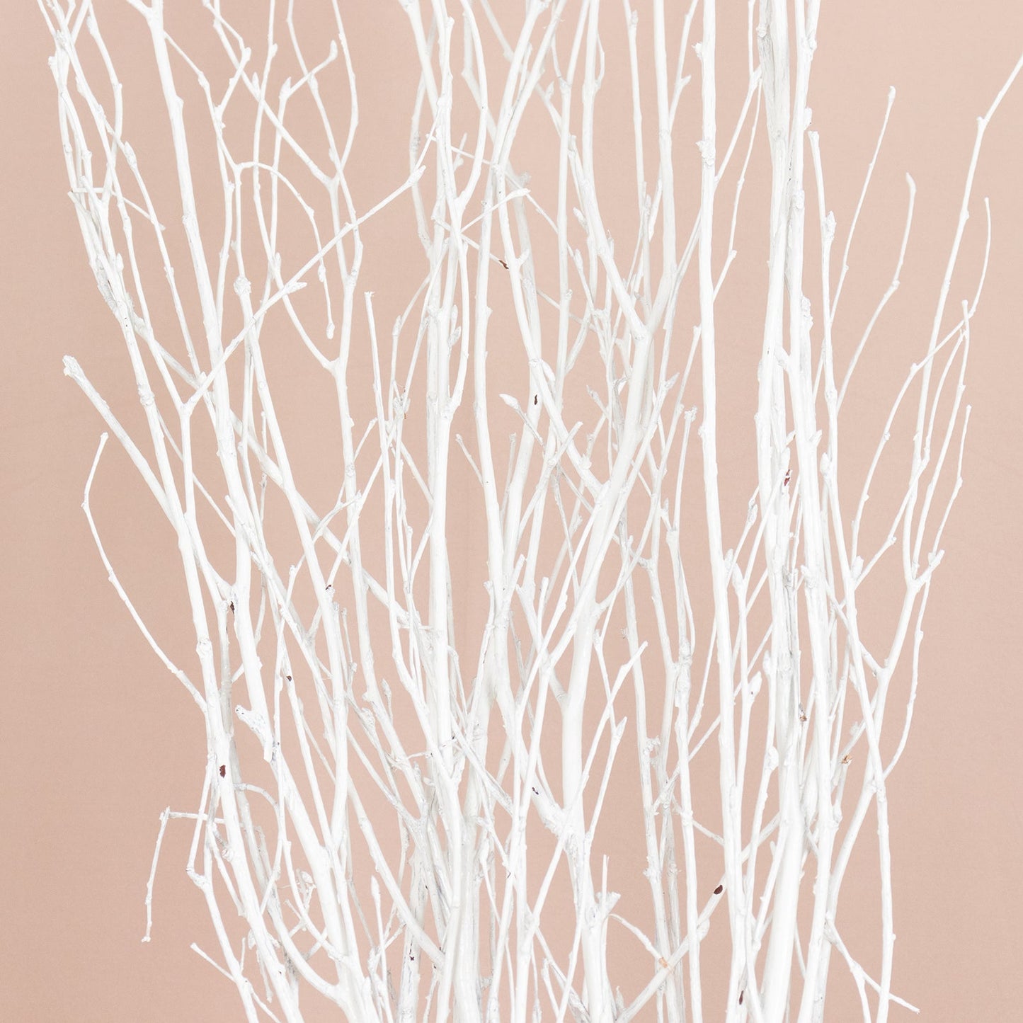 6 Pack White Decorative Birch Tree Branches, Extra Long Natural Dried Willow Twigs Sticks Vase Fillers - 46"