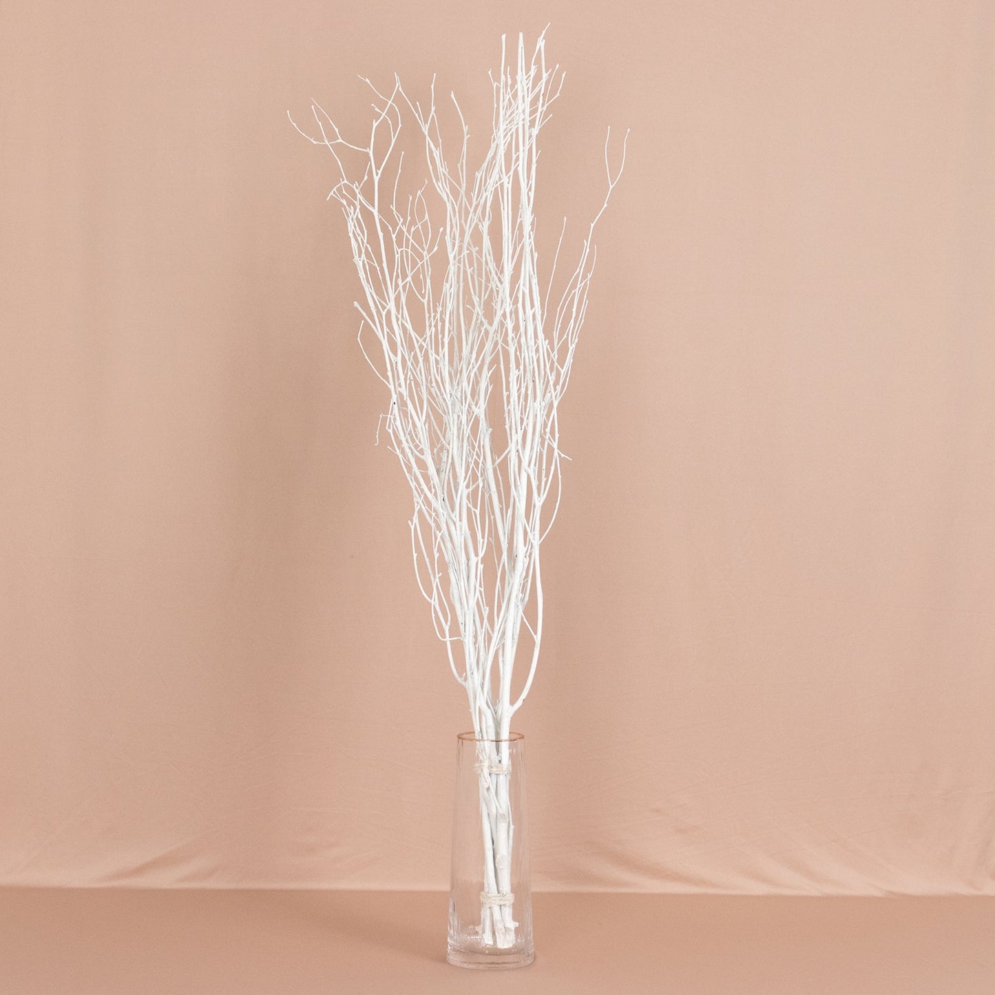 6 Pack White Decorative Birch Tree Branches, Extra Long Natural Dried Willow Twigs Sticks Vase Fillers - 46"