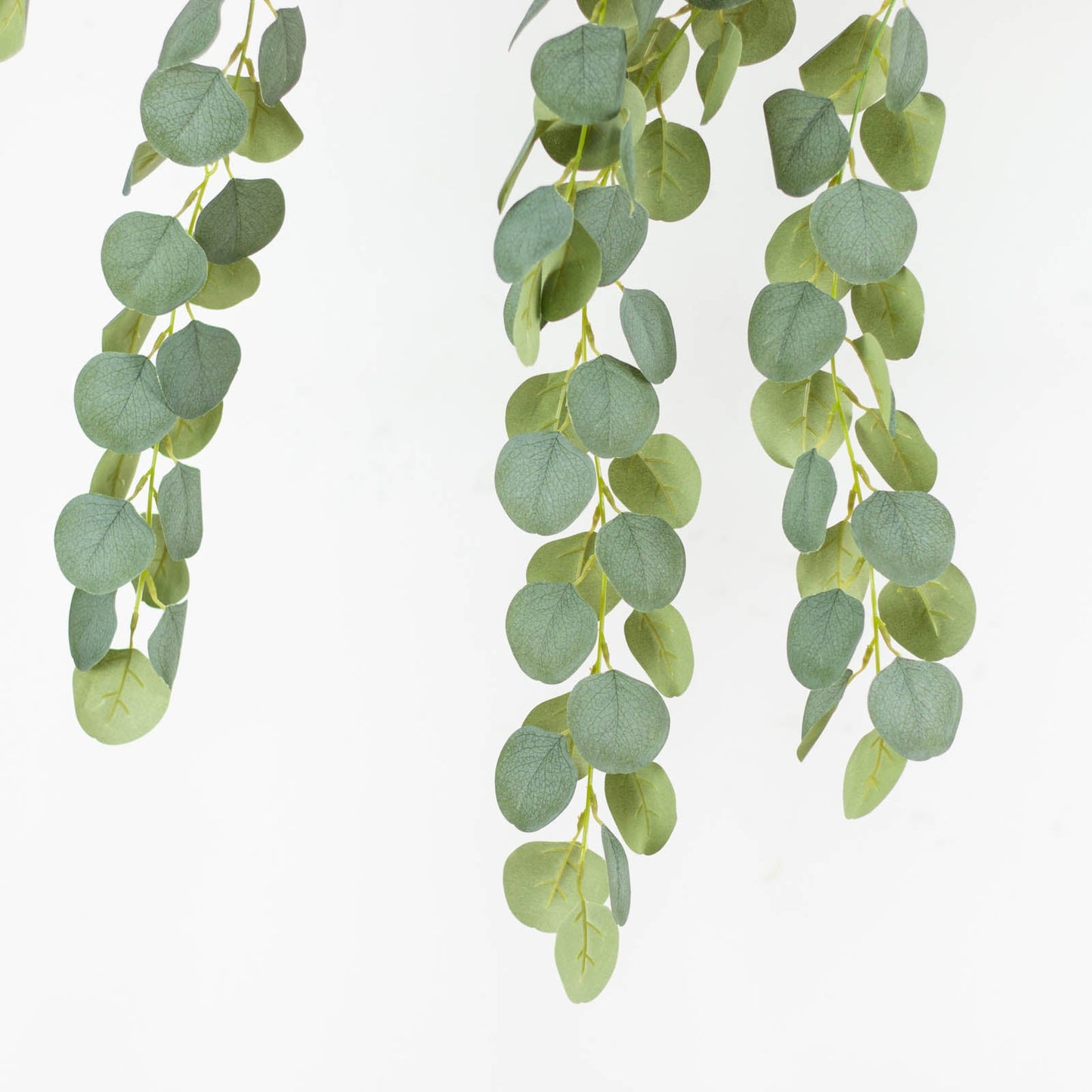 3 Pack Green Real Touch Hanging Artificial Plant Eucalyptus Stems, Silk Silver Dollar Indoor Leaf Sprays 41"