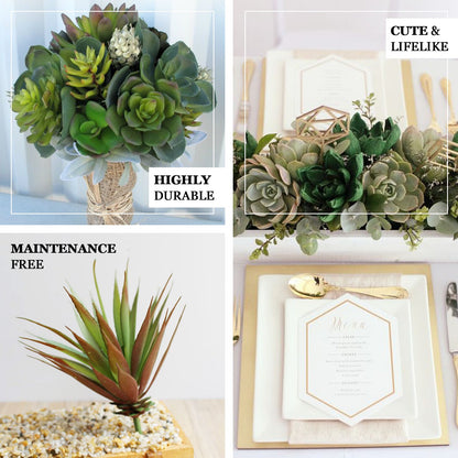 3 Pack Assorted Artificial Yucca Aloe Vera Succulent Air Plants 13"