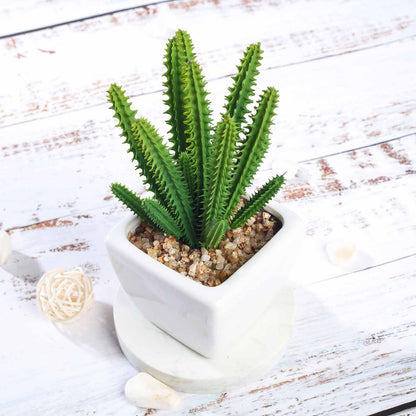 3 Pack Ceramic Planter Pot and Artificial Cacti Succulent Plants 7"