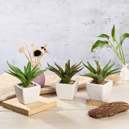 3 Pack Ceramic Planter Pot and Artificial Spot Aloe Succulent Plant 5"