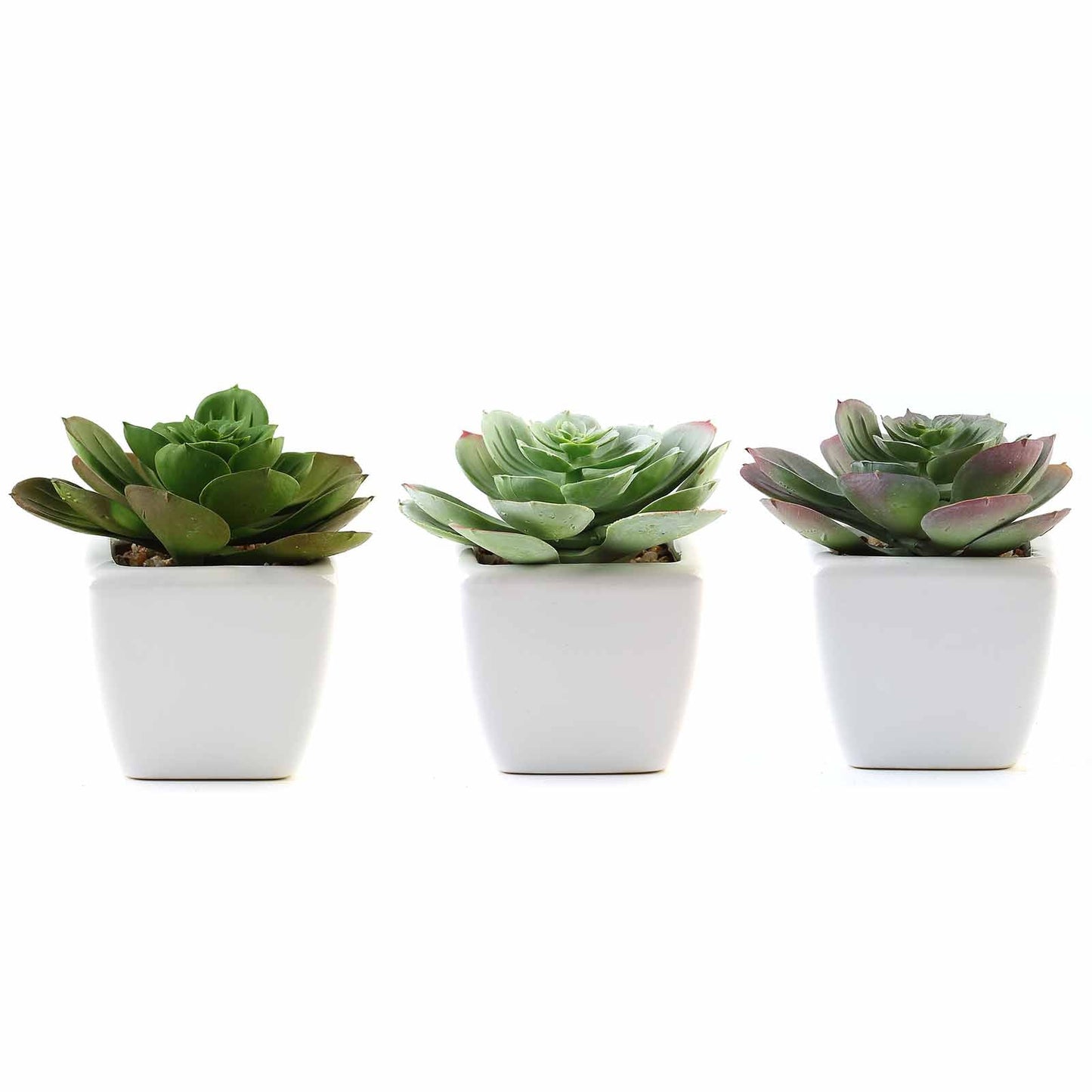 3 Pack Ceramic Planter Pot and Artificial Echeveria Succulent Plant 4"