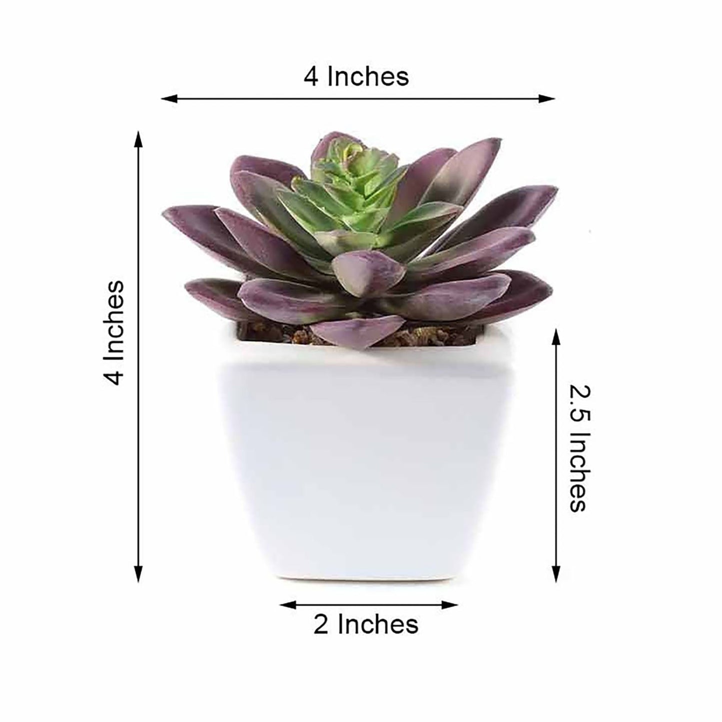 3 Pack Ceramic Planter Pot and Artificial Echeveria Elegans Plants 4"