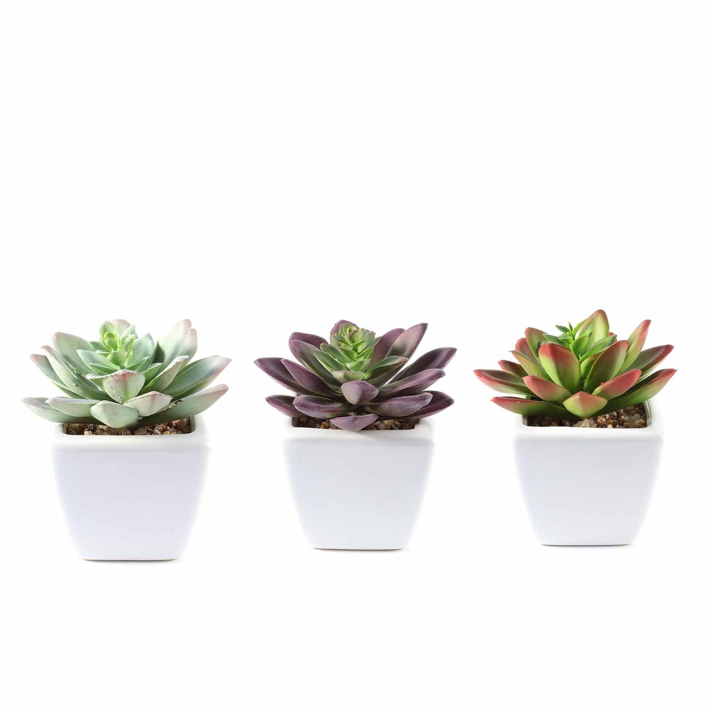 3 Pack Ceramic Planter Pot and Artificial Echeveria Elegans Plants 4"