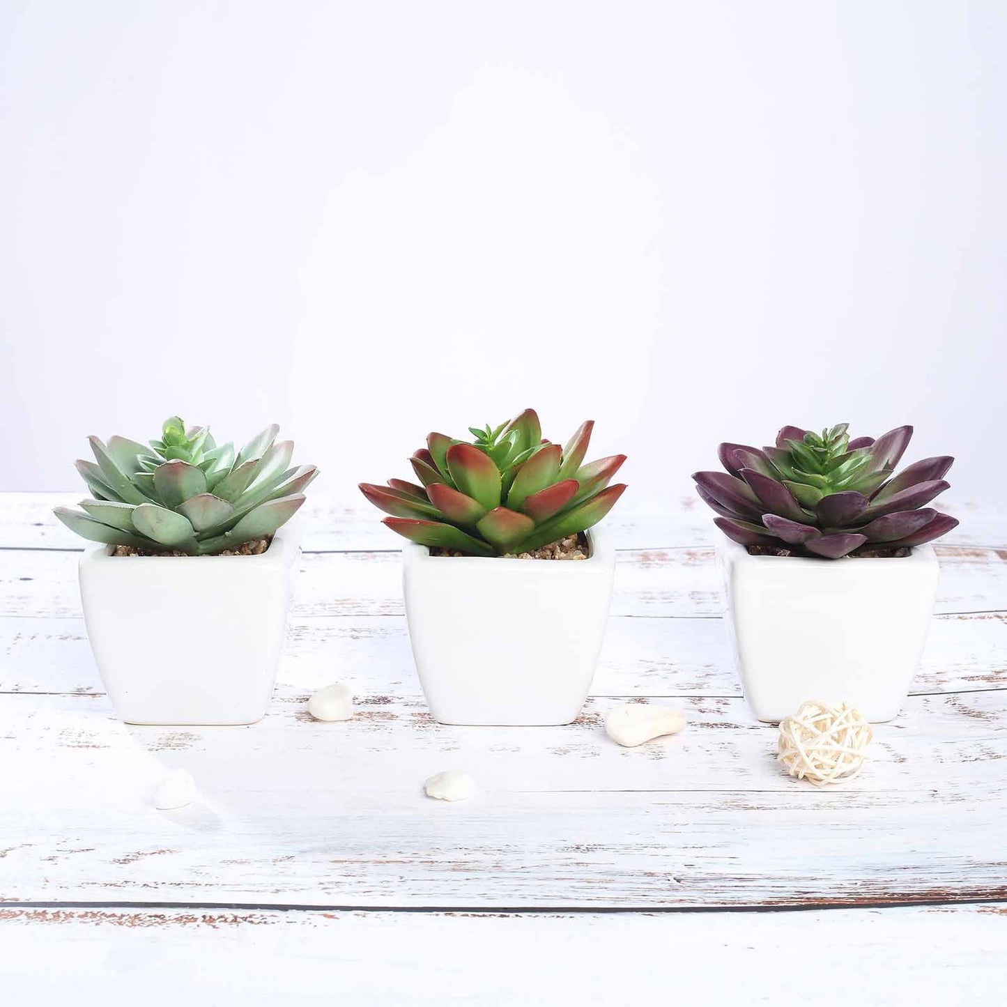 3 Pack Ceramic Planter Pot and Artificial Echeveria Elegans Plants 4"