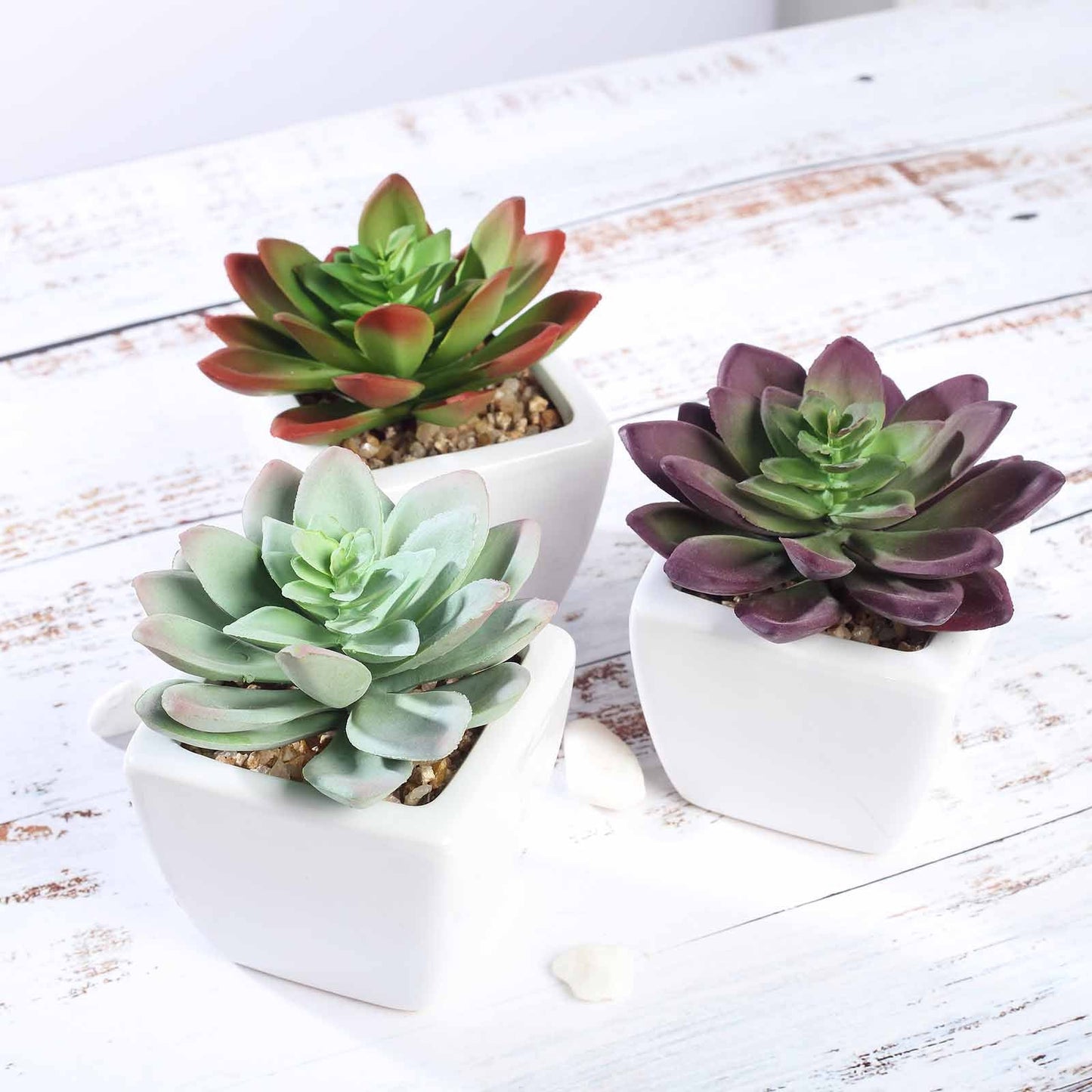 3 Pack Ceramic Planter Pot and Artificial Echeveria Elegans Plants 4"