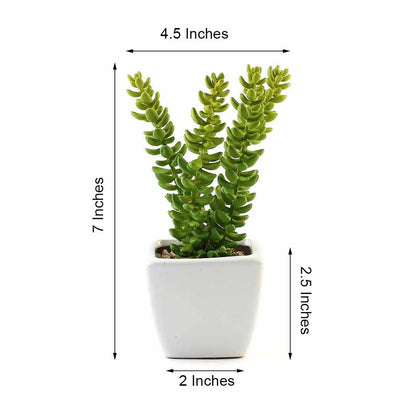 3 Pack Ceramic Planter Pot and Artificial Sedum Succulent Plants 8"