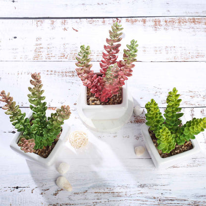 3 Pack Ceramic Planter Pot and Artificial Sedum Succulent Plants 8"