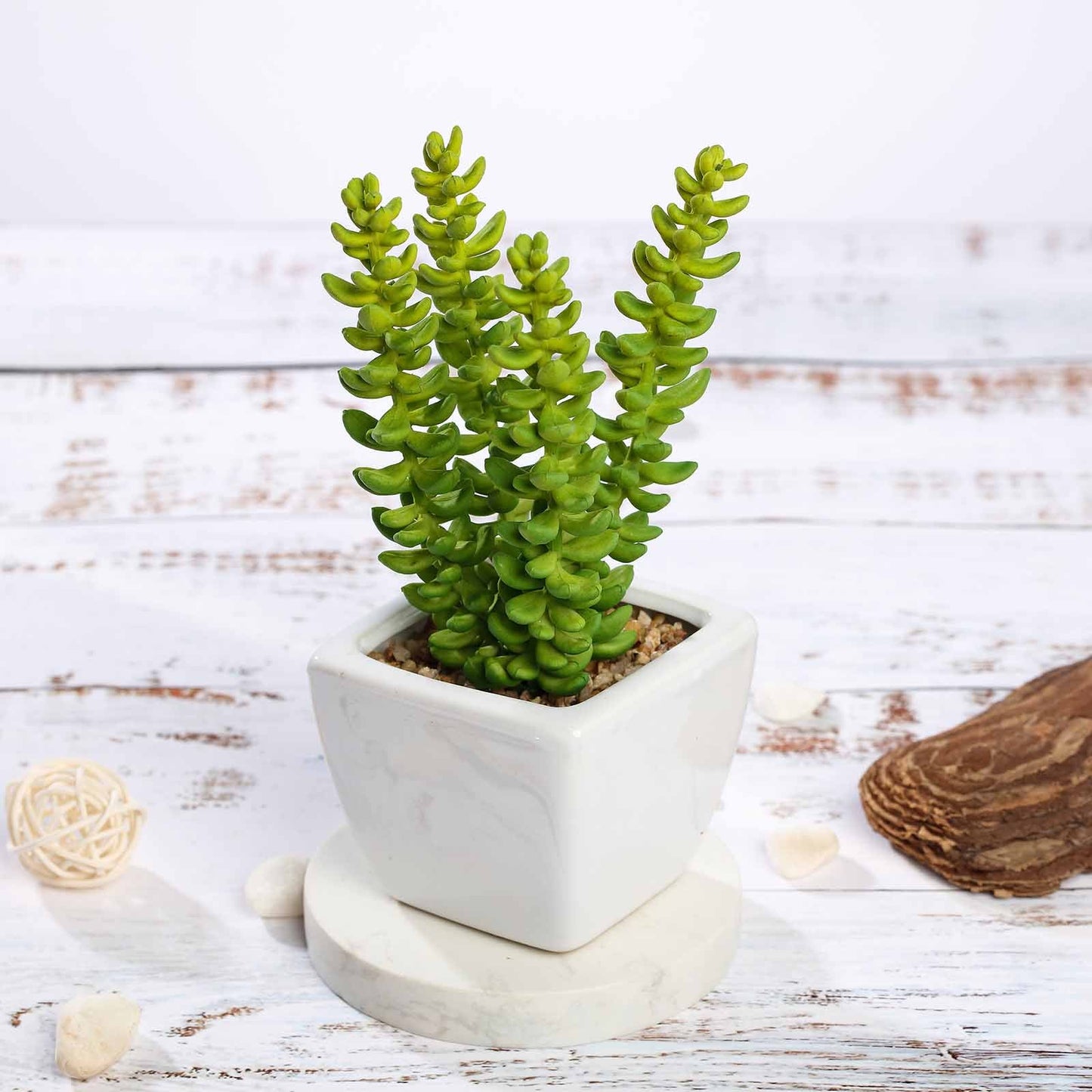 3 Pack Ceramic Planter Pot and Artificial Sedum Succulent Plants 8"