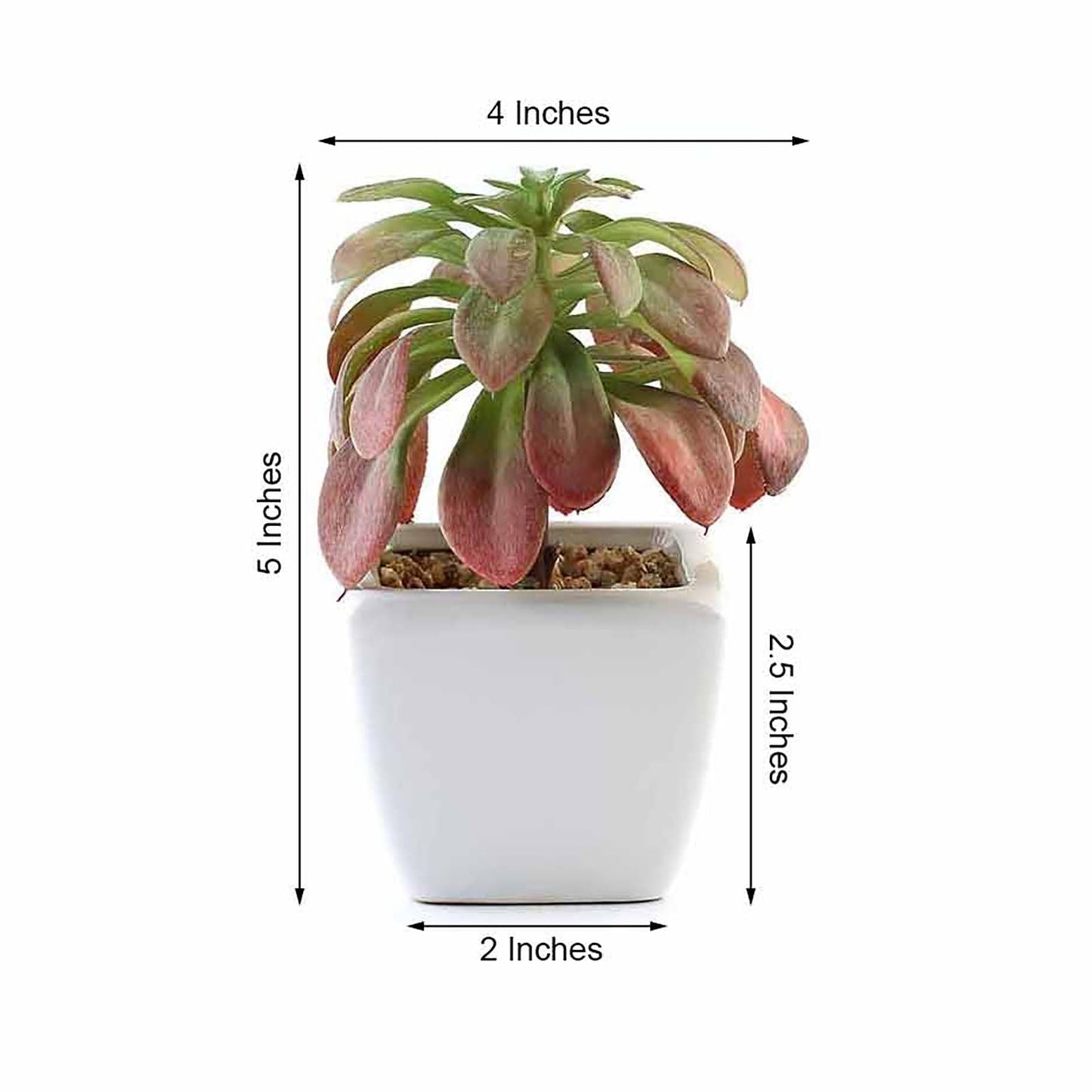 3 Pack Ceramic Planter Pot and Artificial Elegans Succulent Plants 5"