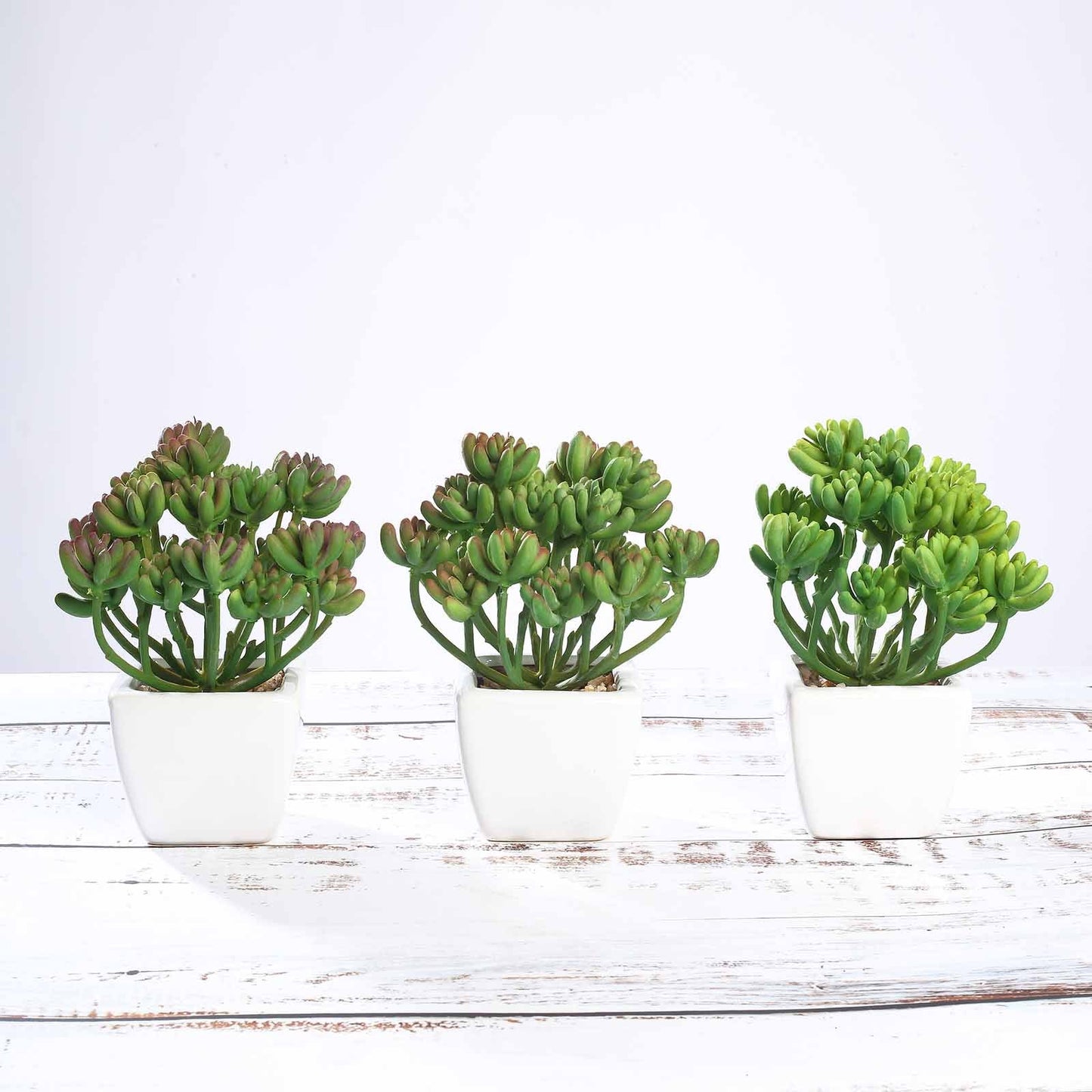 3 Pack Ceramic Planter Pot and Artificial Stonecrop Succulent Plant 7"