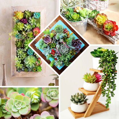 3 Pack Artificial PVC Echeveria Stem Decorative Succulent Plants 6"