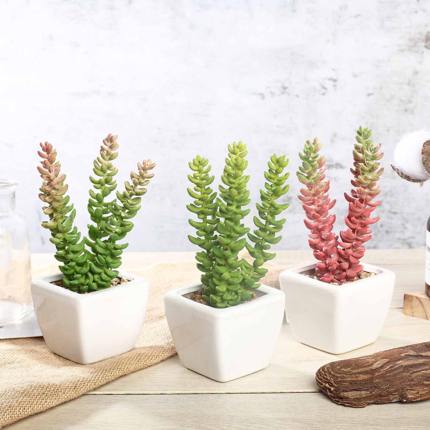 3 Pack Ceramic Planter Pot and Artificial Sedum Succulent Plants 8"