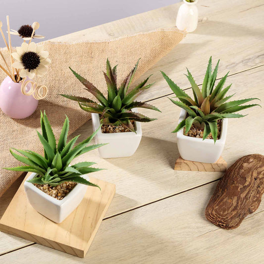3 Pack Ceramic Planter Pot and Artificial Spot Aloe Succulent Plant 5"