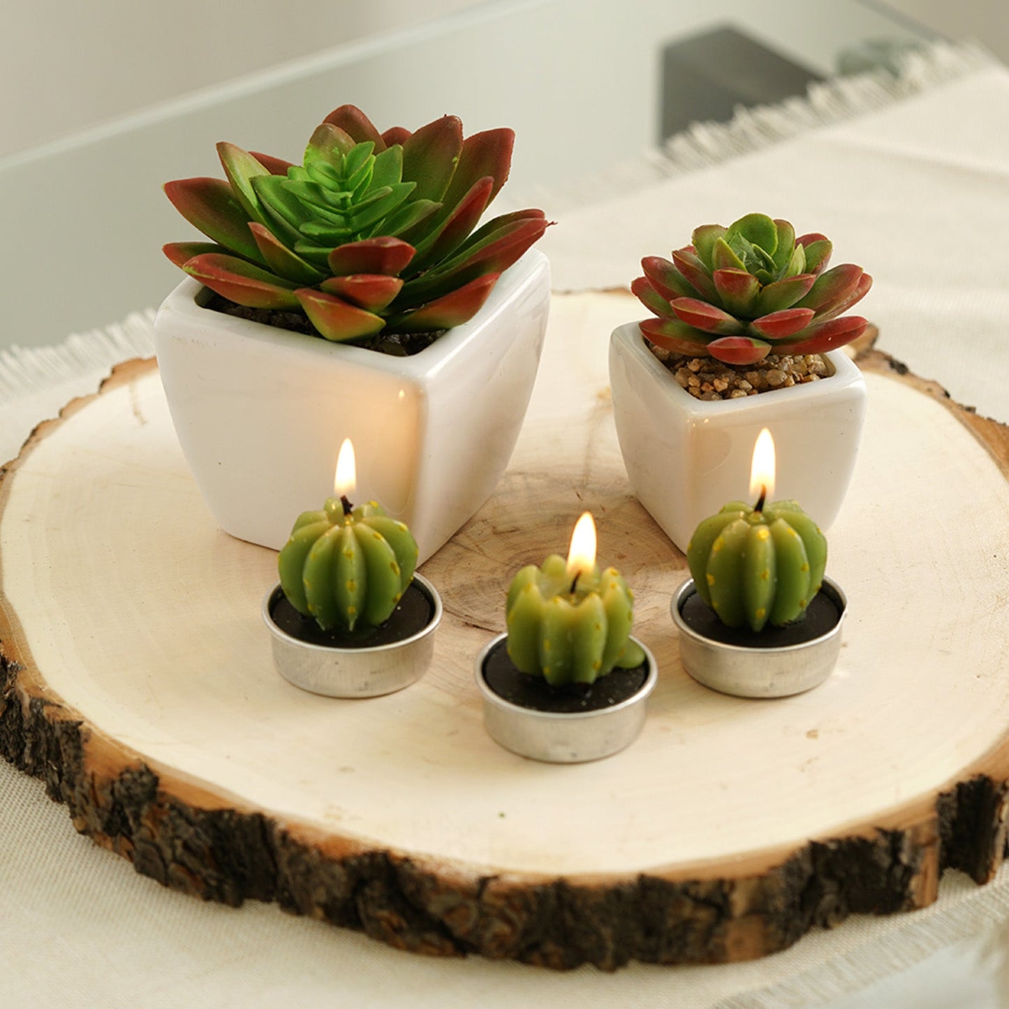 3 Pack Ceramic Planter Pot and Artificial Echeveria Elegans Plants 4"