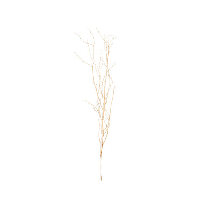 6 Pack Metallic Gold Decorative Birch Tree Branches, Extra Long Natural Dried Willow Twigs Sticks Vase Fillers - 46"